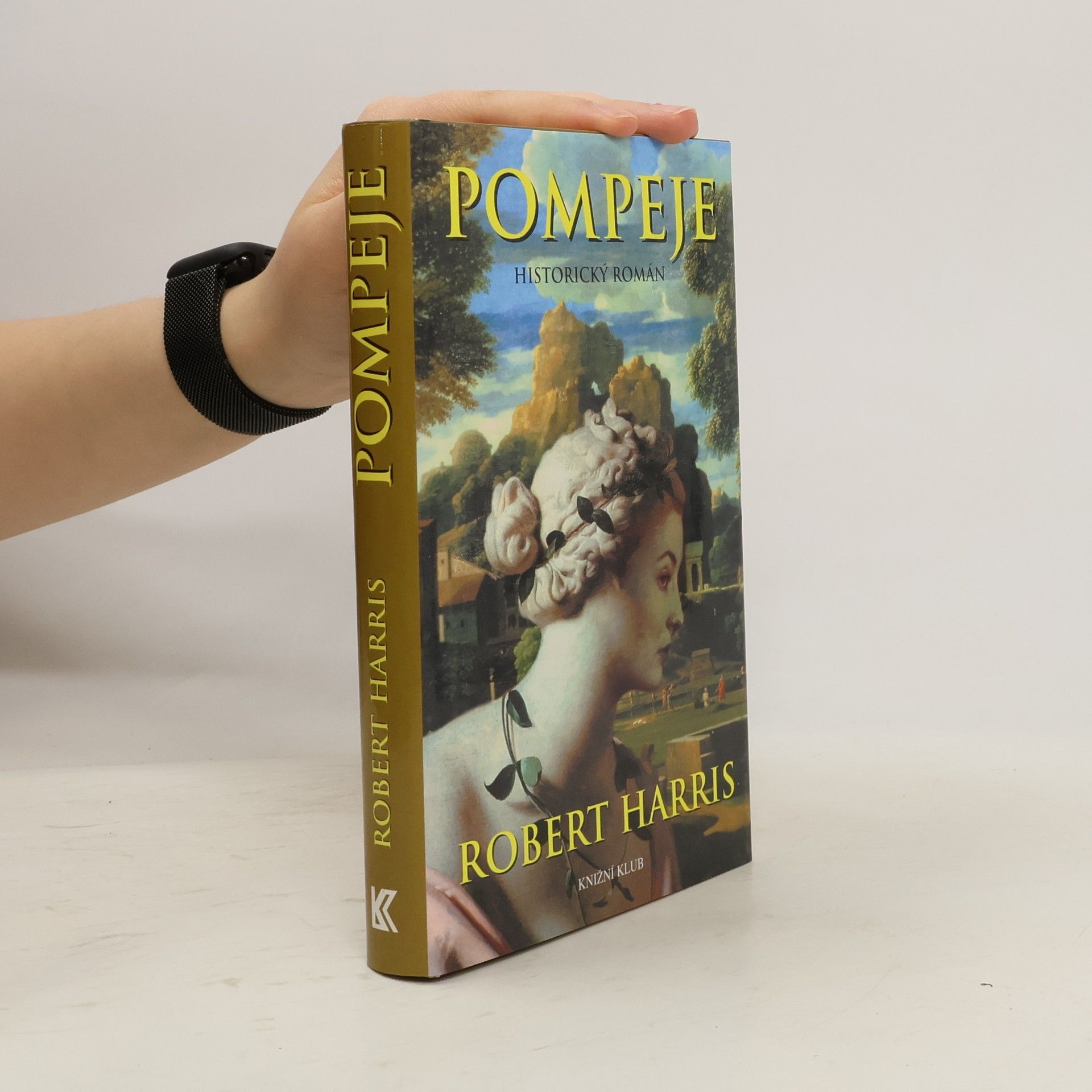 Robert Harris Pompeje: Historický román