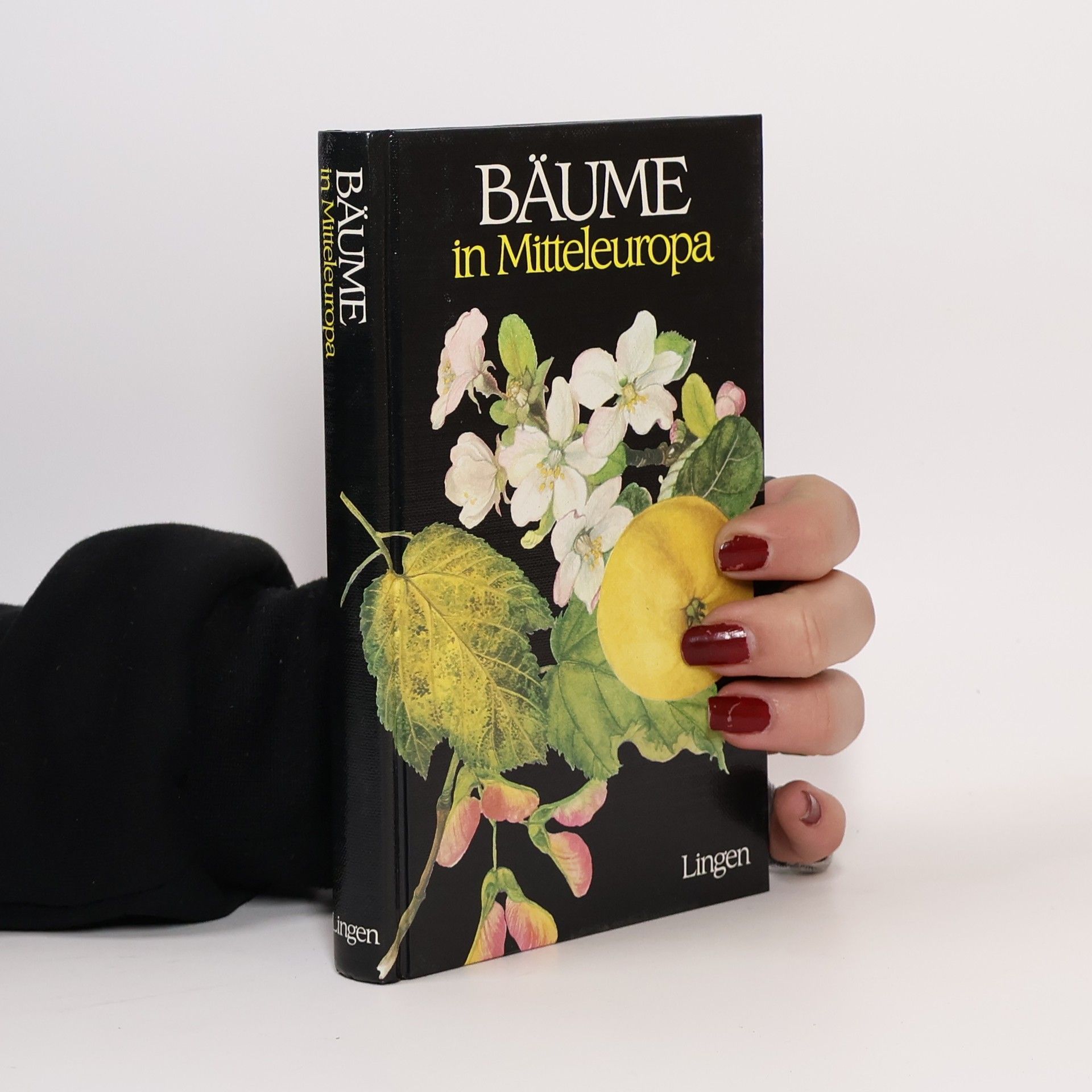 Jaromír Pokorný Bäume in Mitteleuropa