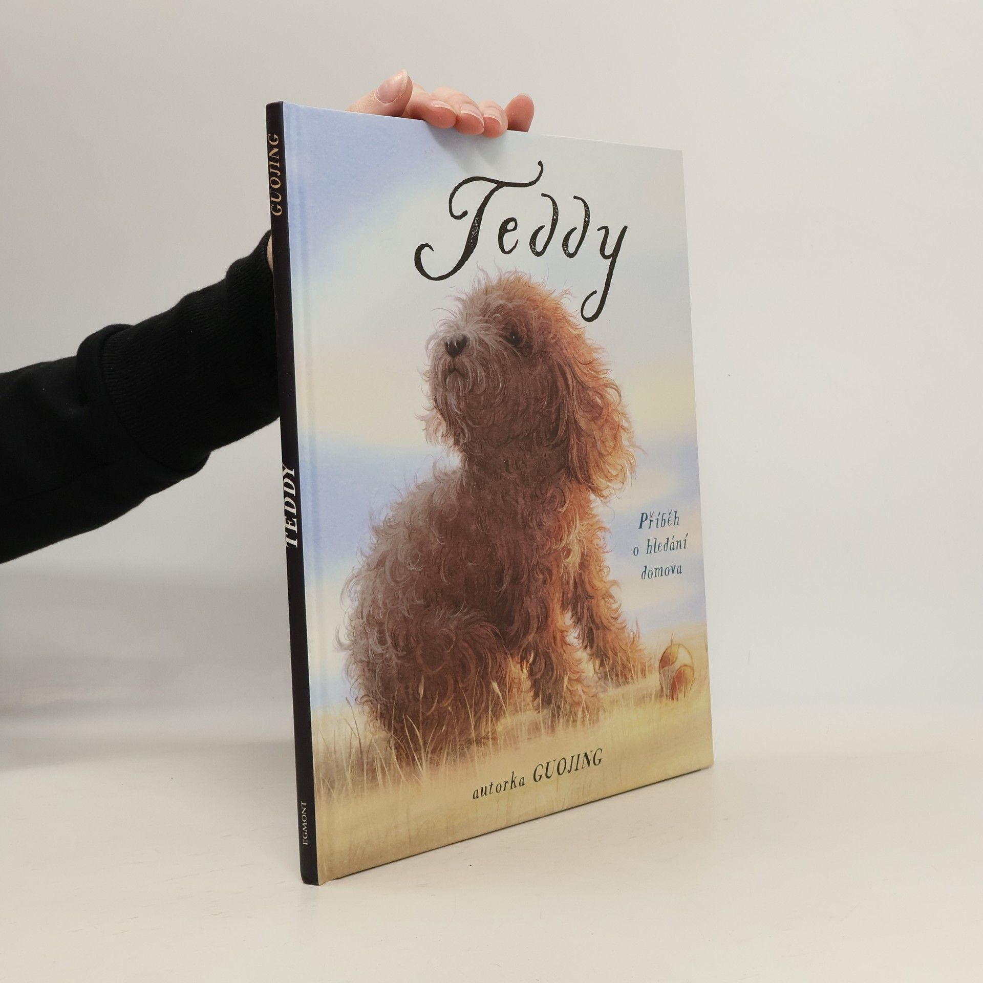 Teddy : příběh o hledání domova