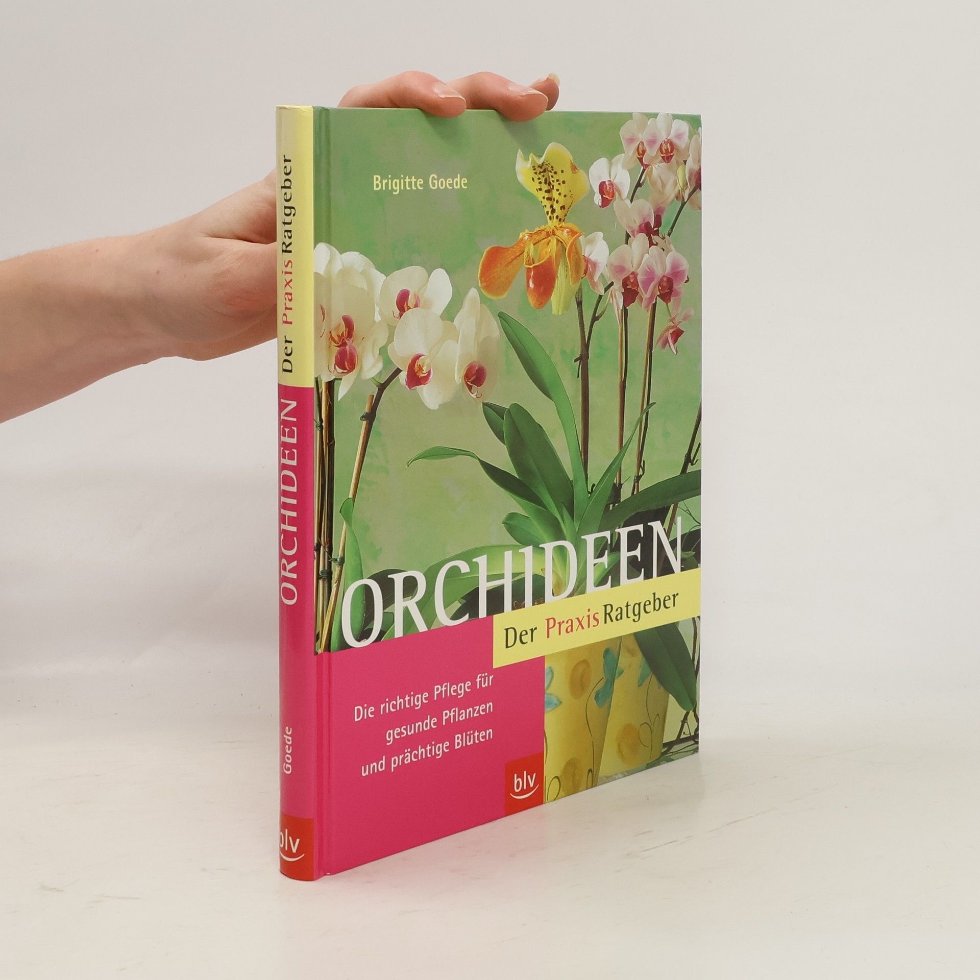 Brigitte Goede Orchideen