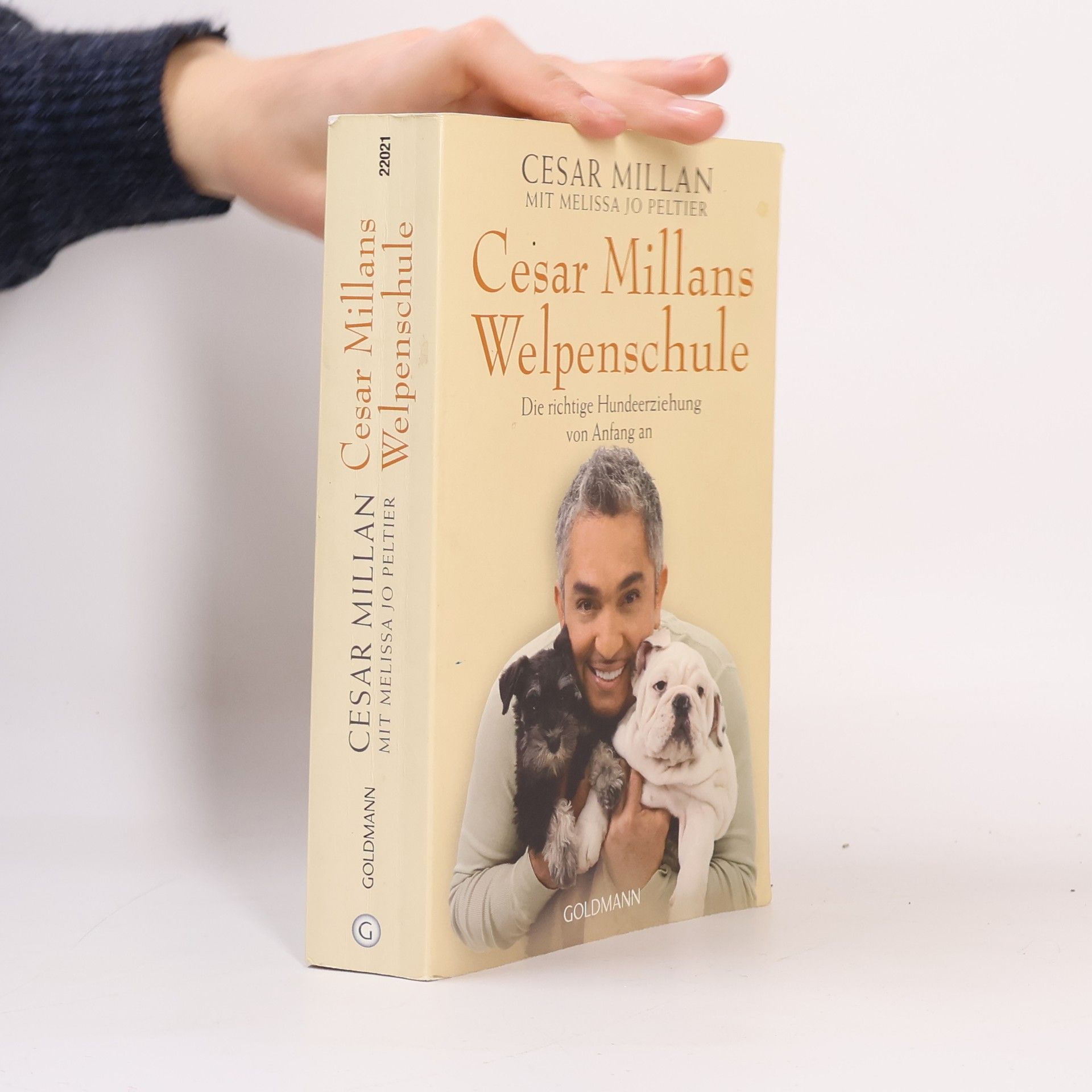 Cesar Millan Cesar Millans Welpenschule