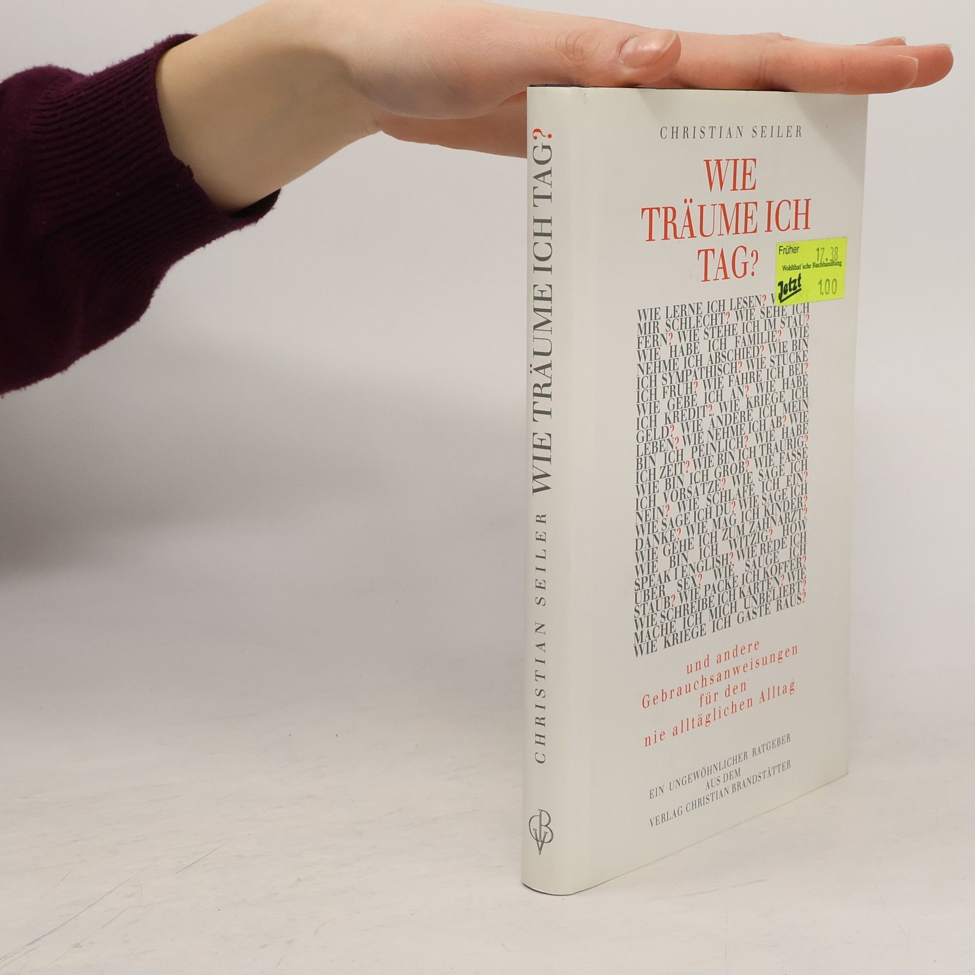 Christian Seiler Wie träume ich tag? und andere Gebrauchsanweisungen für den nie alltäglichen Alltag
