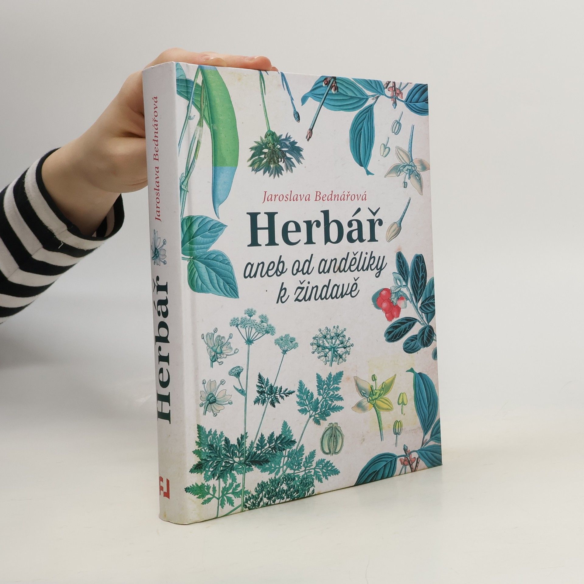 Jaroslava Bednářová Herbář, aneb, Od anděliky k žindavě