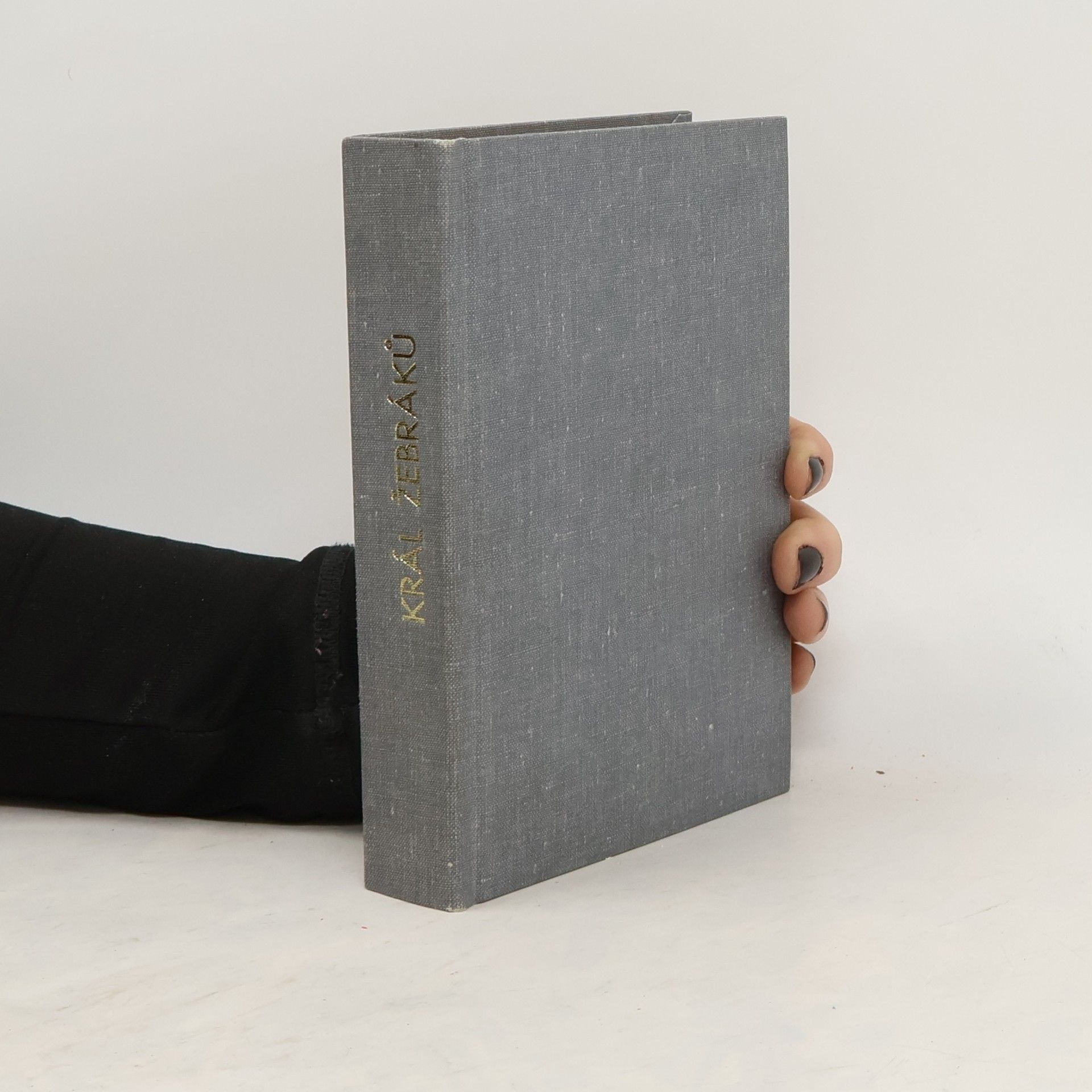 A. Matthey Král žebráků