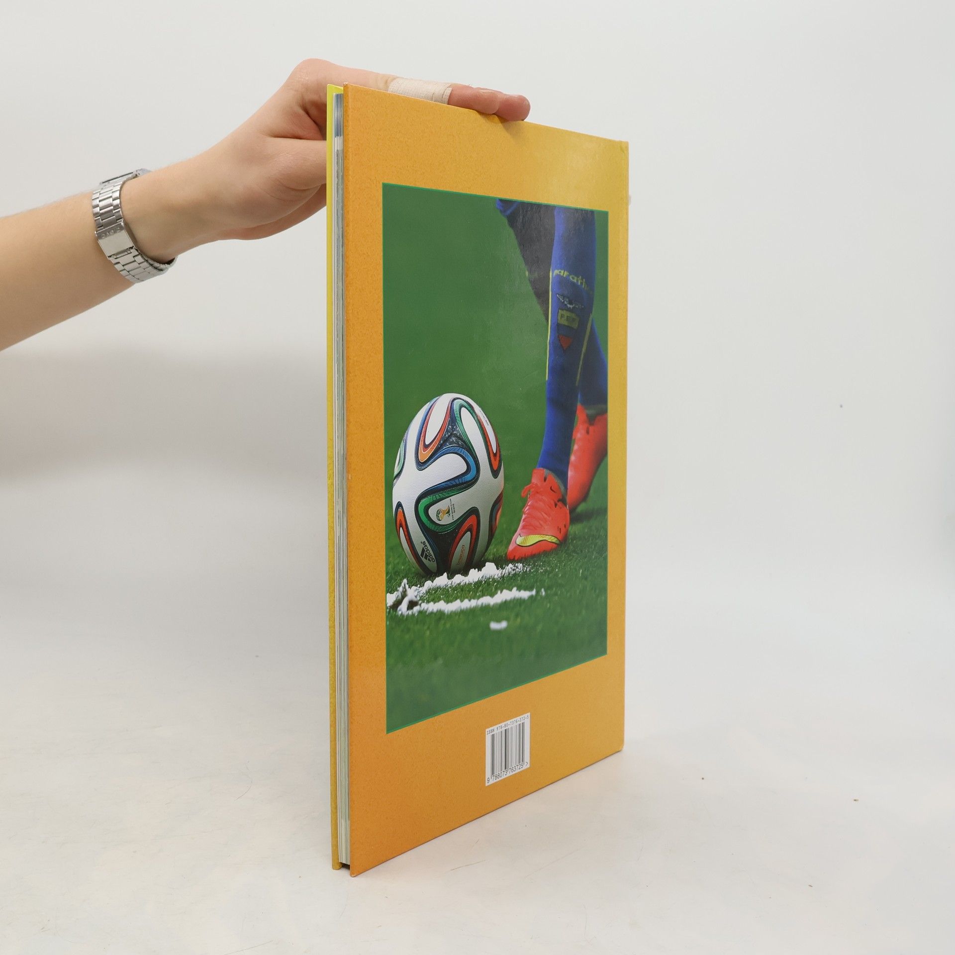 Collectif d'auteurs Brasil 2014 - XX. Mistrovství světa ve fotbale