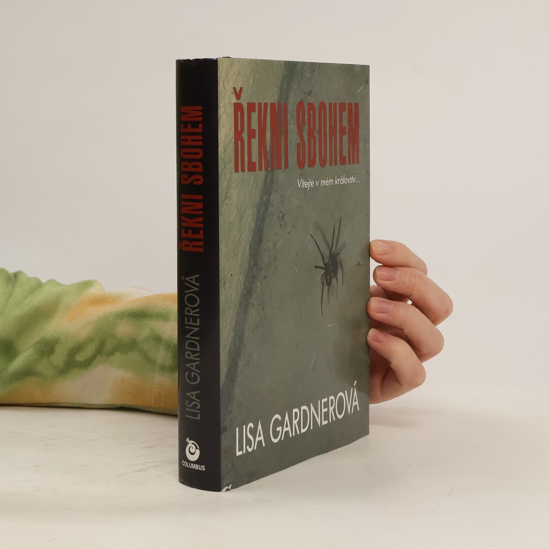 Lisa Gardner Řekni sbohem