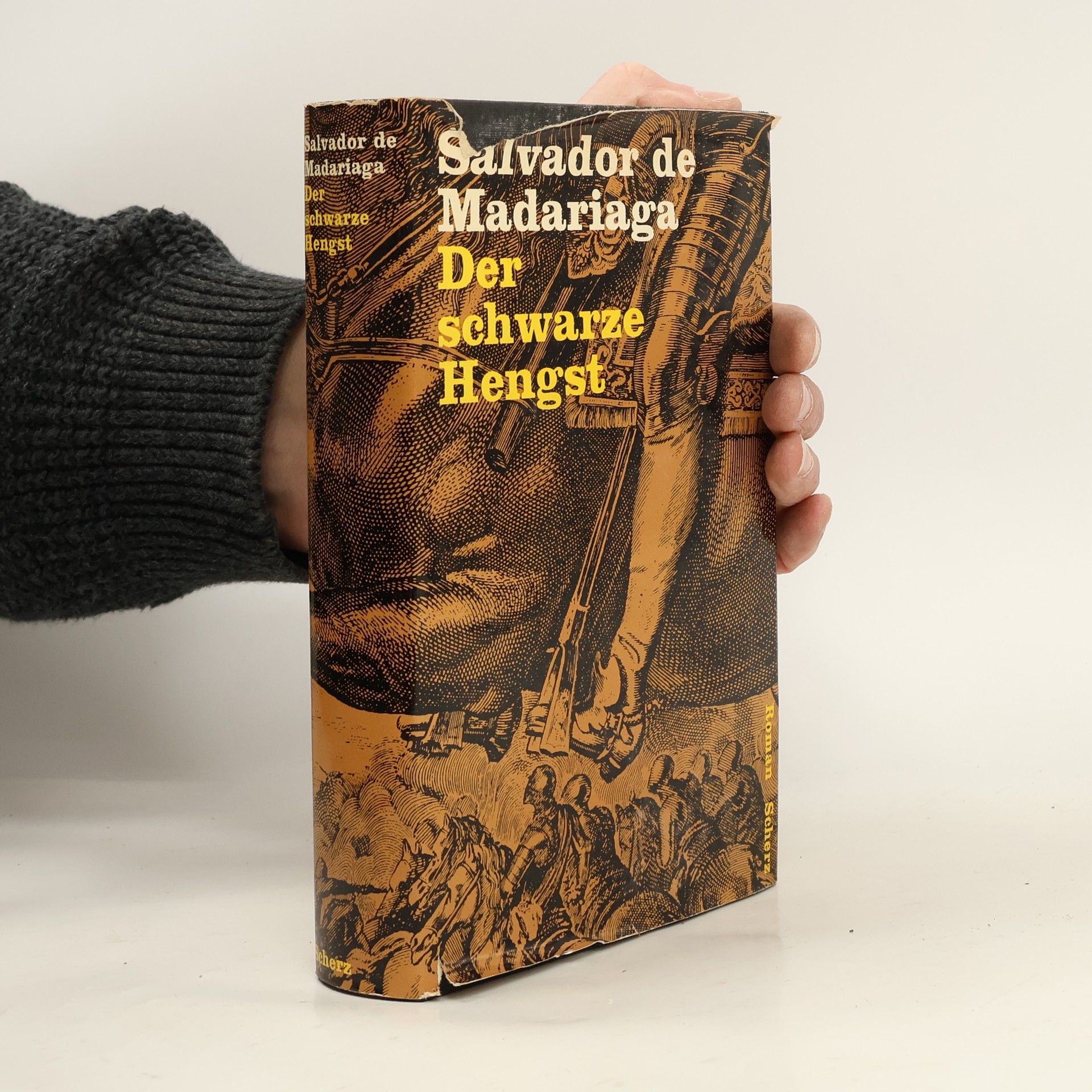 Salvador de Madariaga Der schwarze Hengst