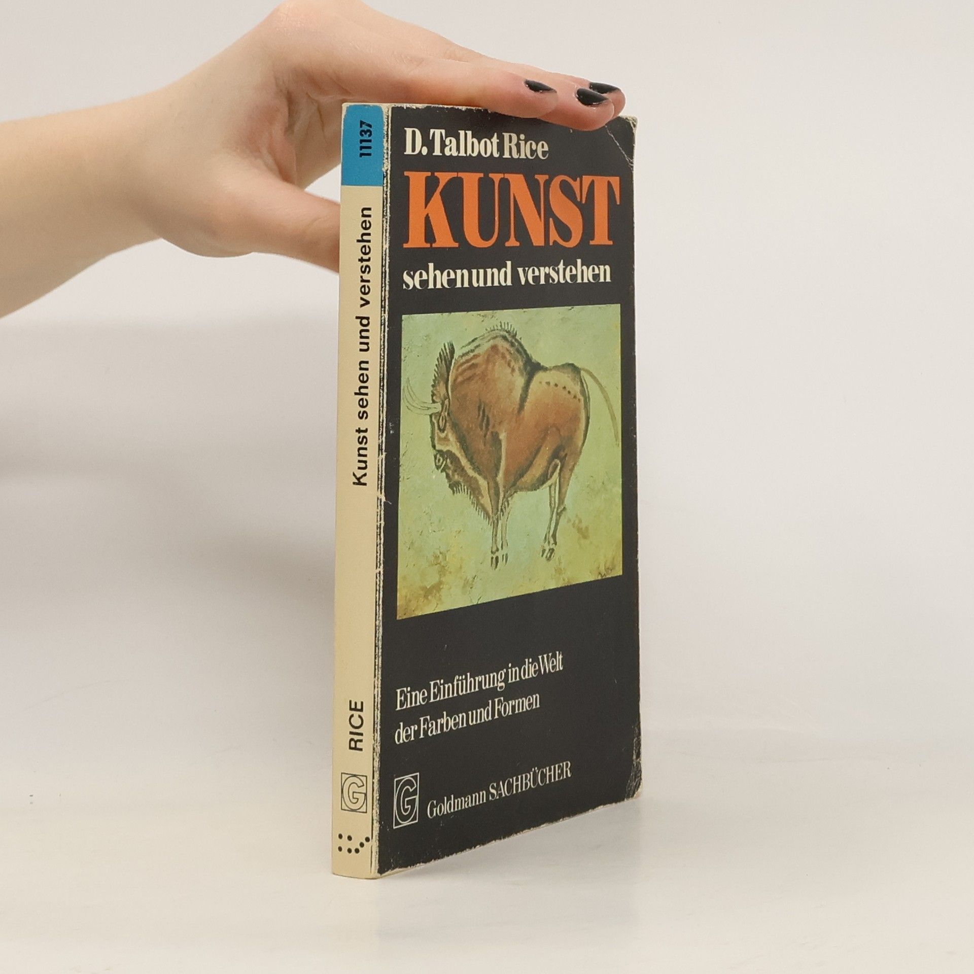 David Talbot Rice Kunst sehen und verstehen