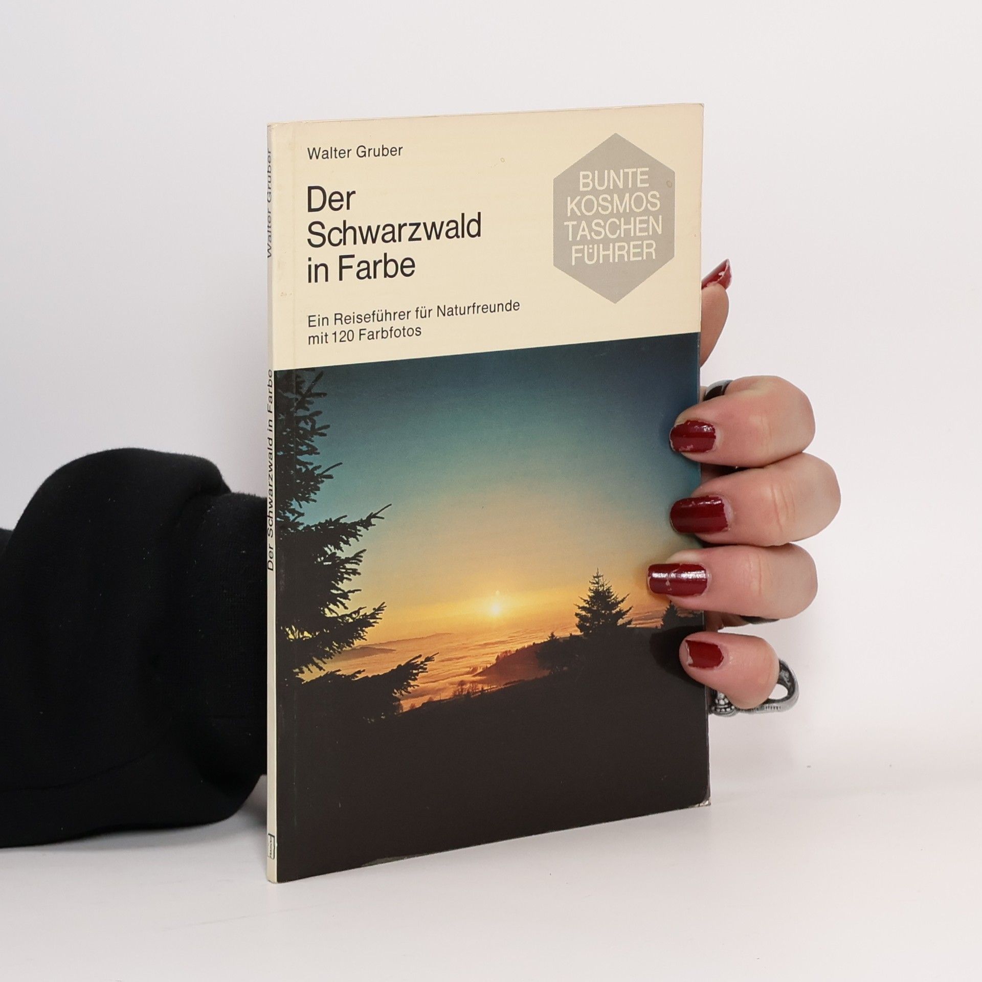 Der Schwarzwald in Farbe