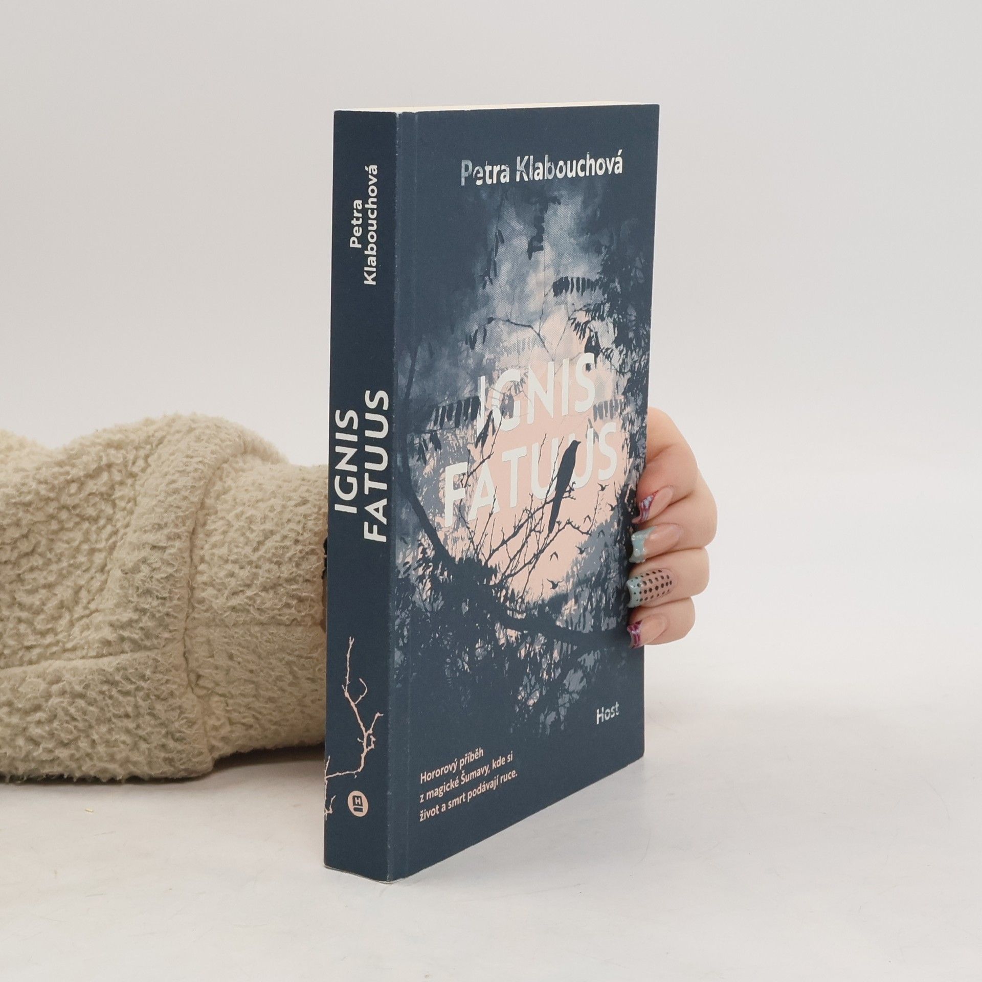 Petra Klabouchová Ignis fatuus