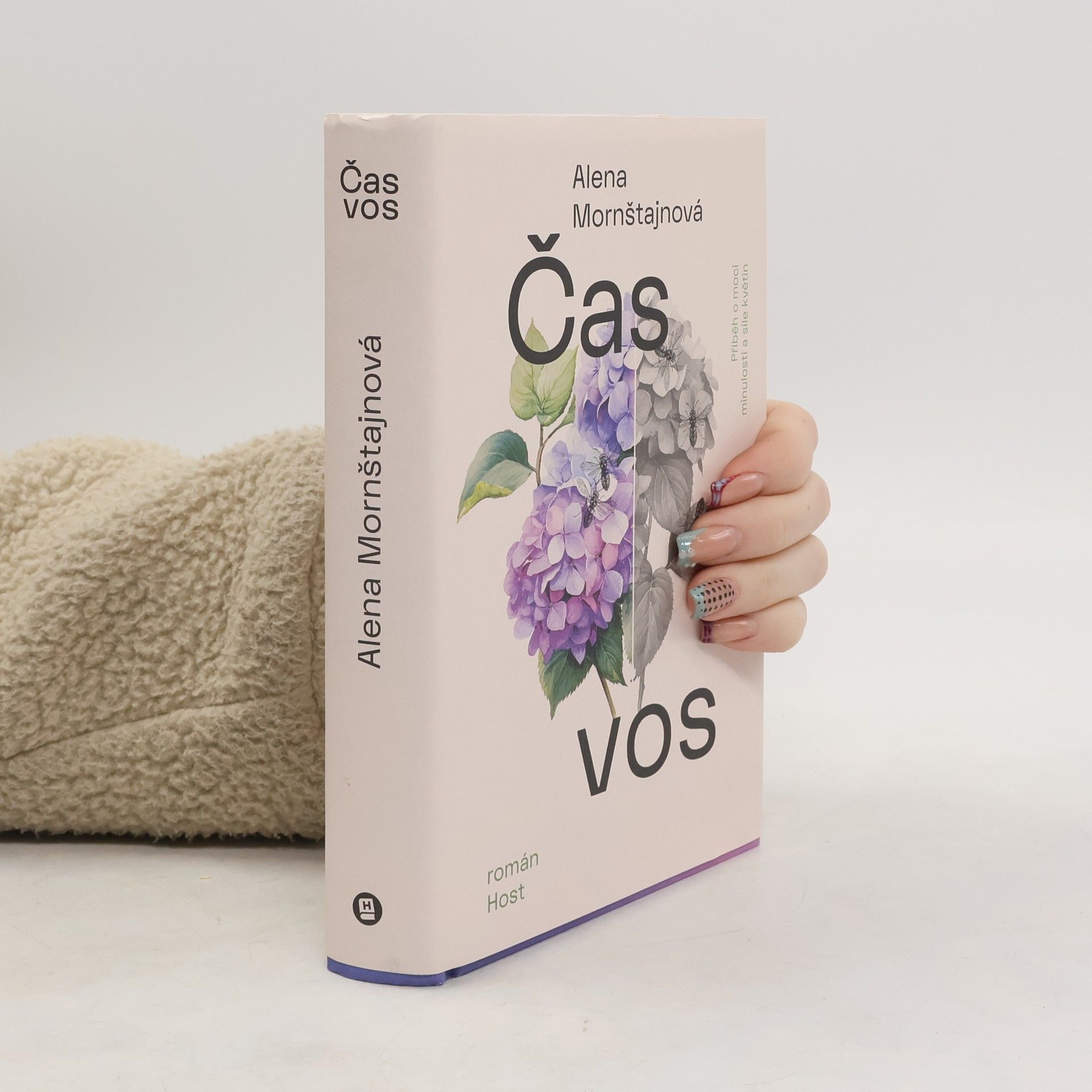 Alena Mornštajnová Čas vos