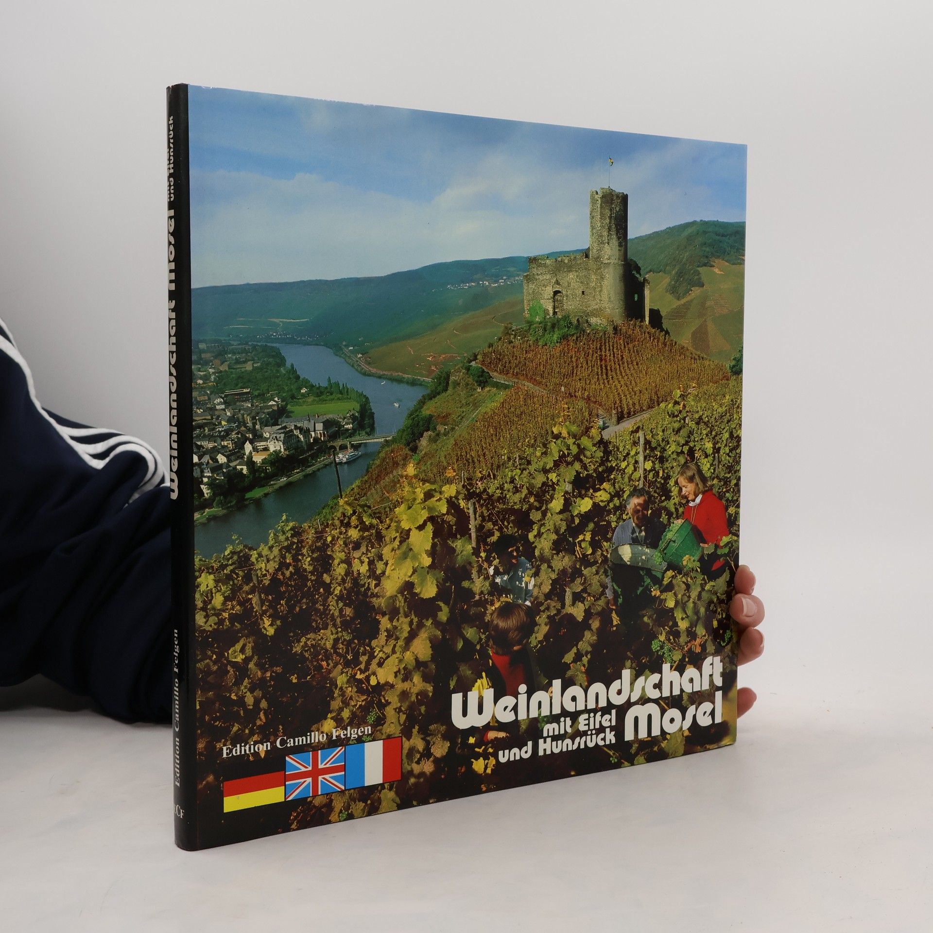 Weinlandschaft Mosel