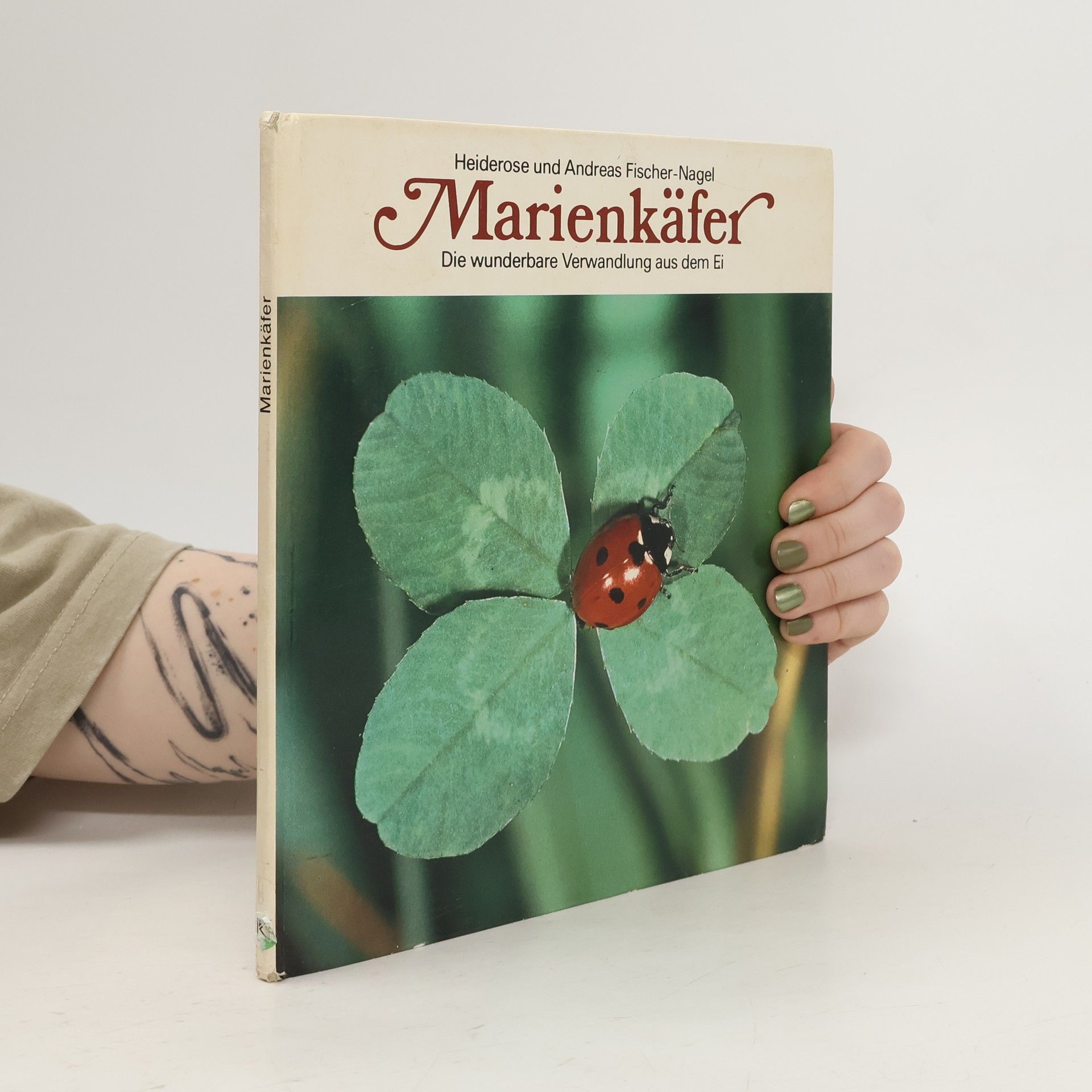 Heiderose Fischer-Nagel Marienkäfer. Die wunderbare Verwandlung aus dem Ei