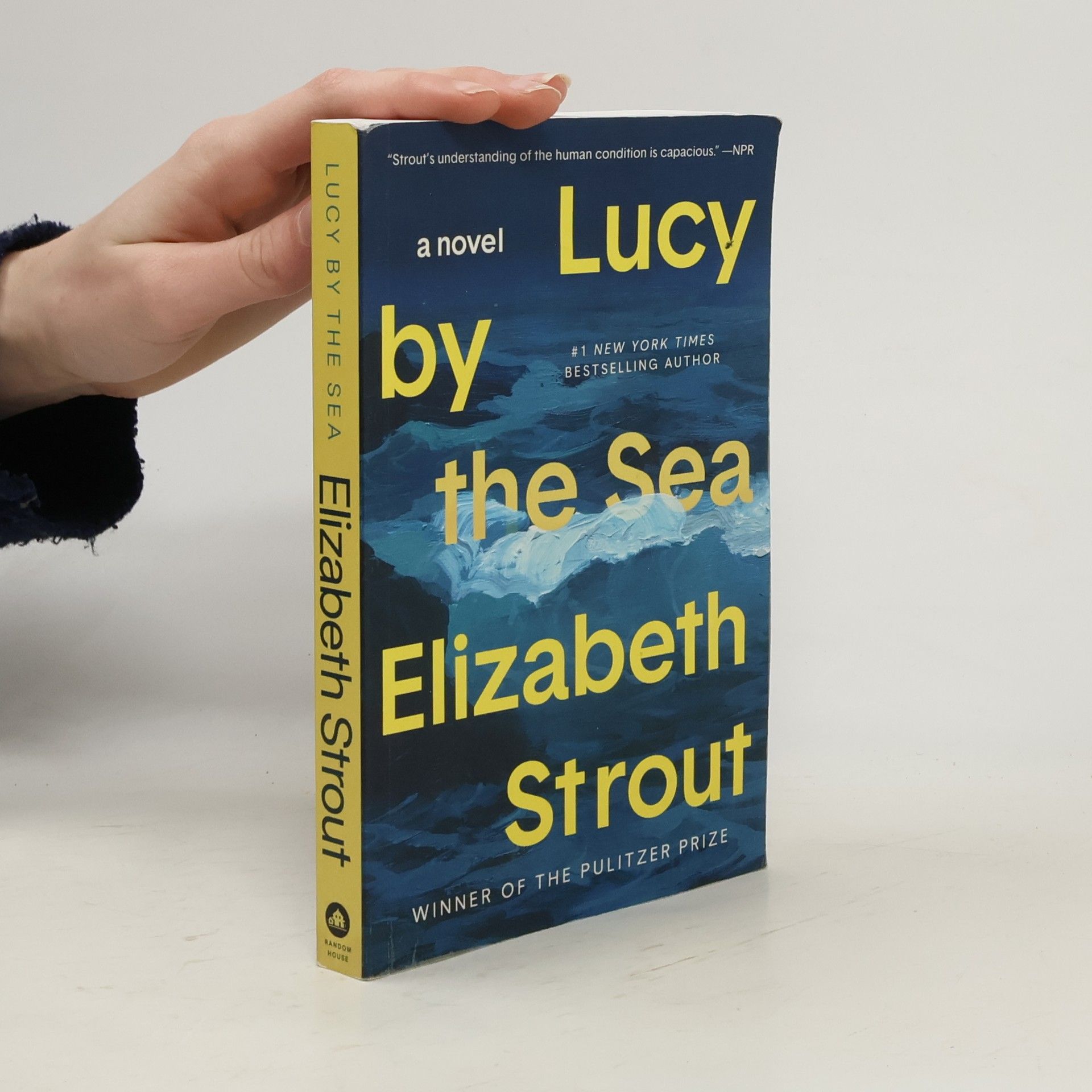 Elizabeth Strout Lucy by the Sea