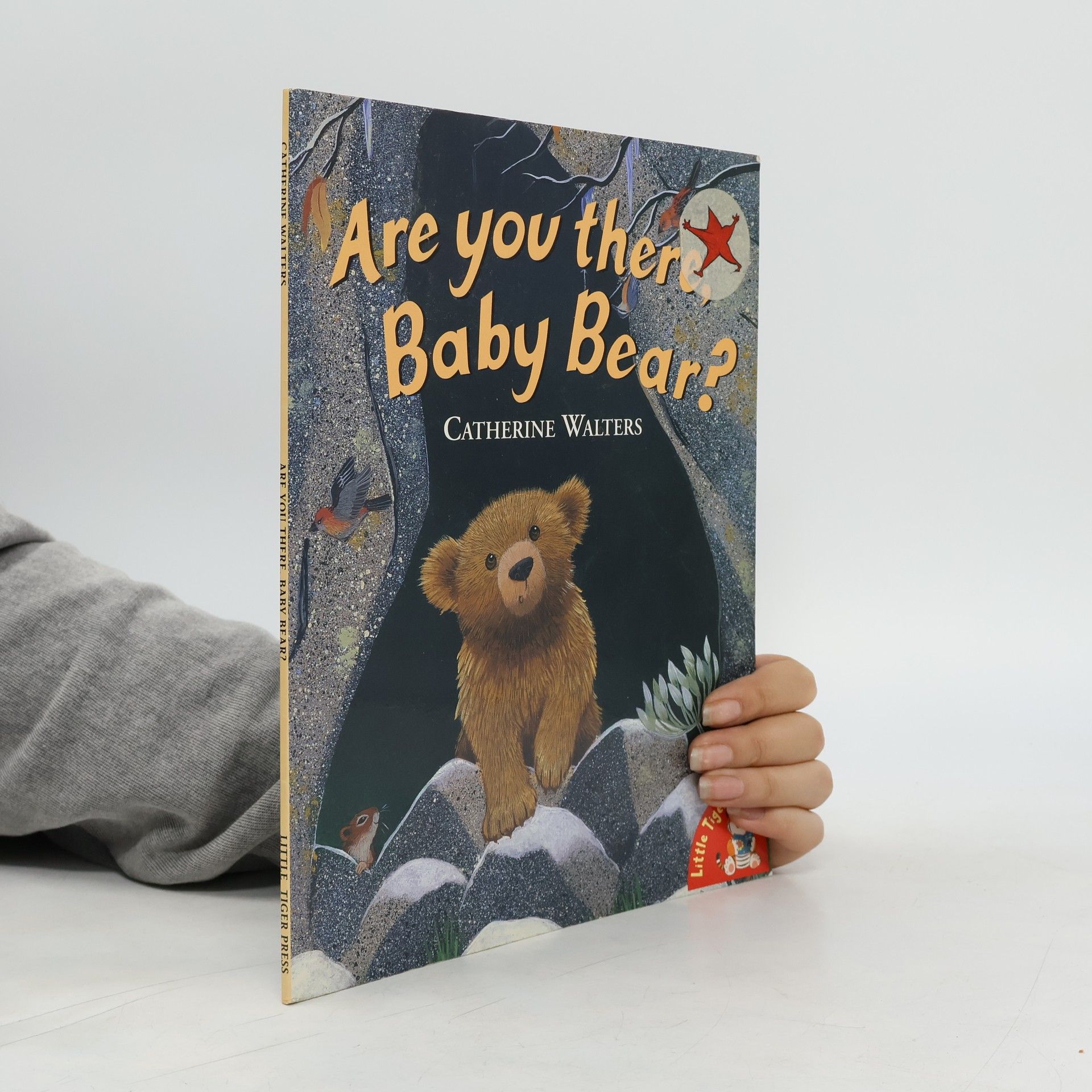 Are You There, Baby Bear?