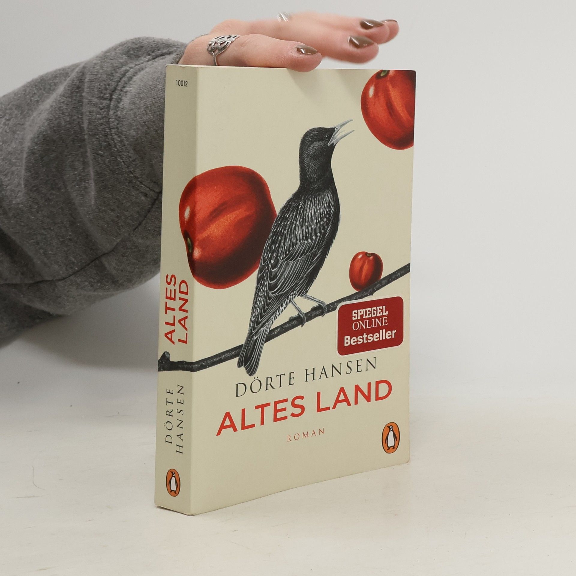 Dörte Hansen Altes Land