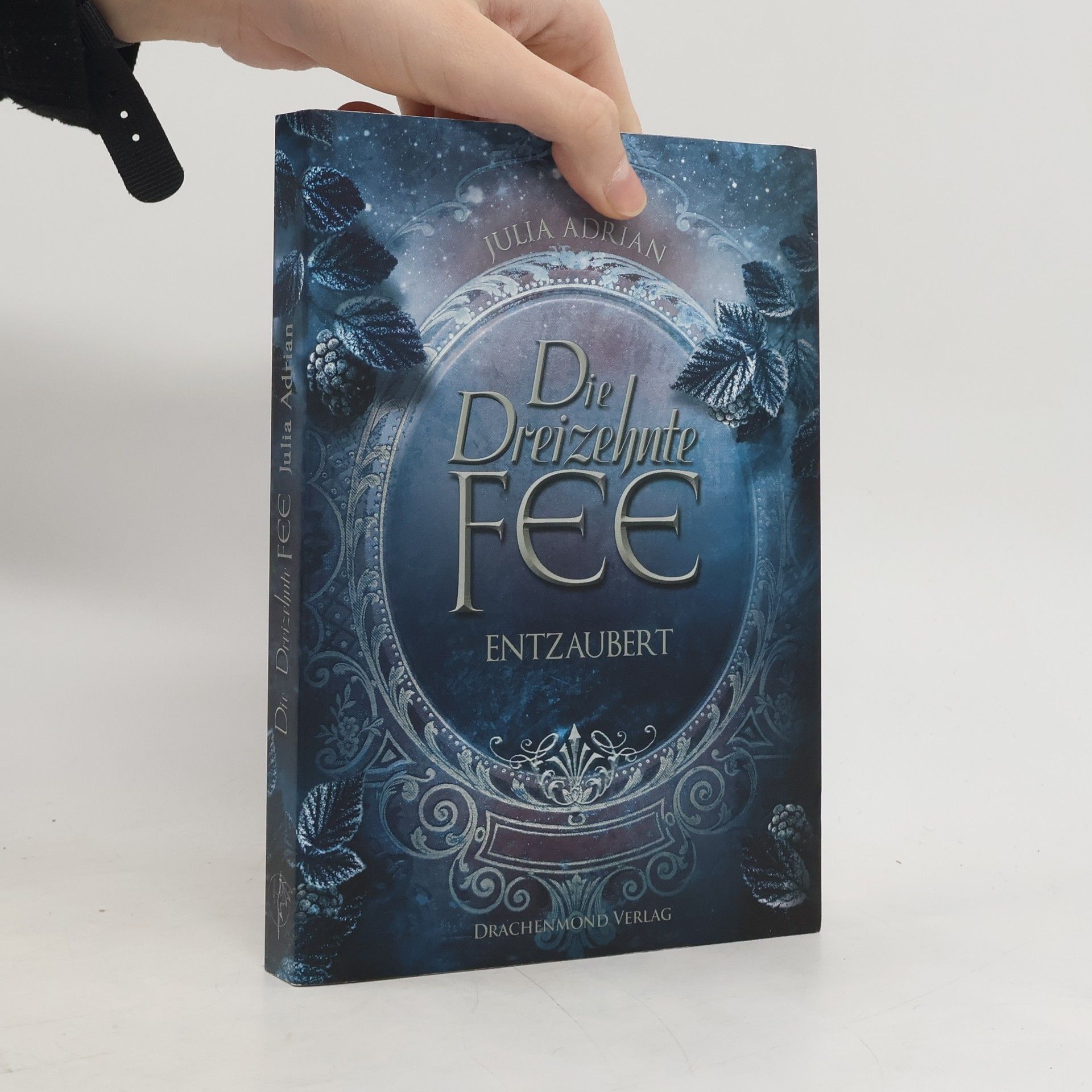 Die Dreizehnte Fee - entzaubert