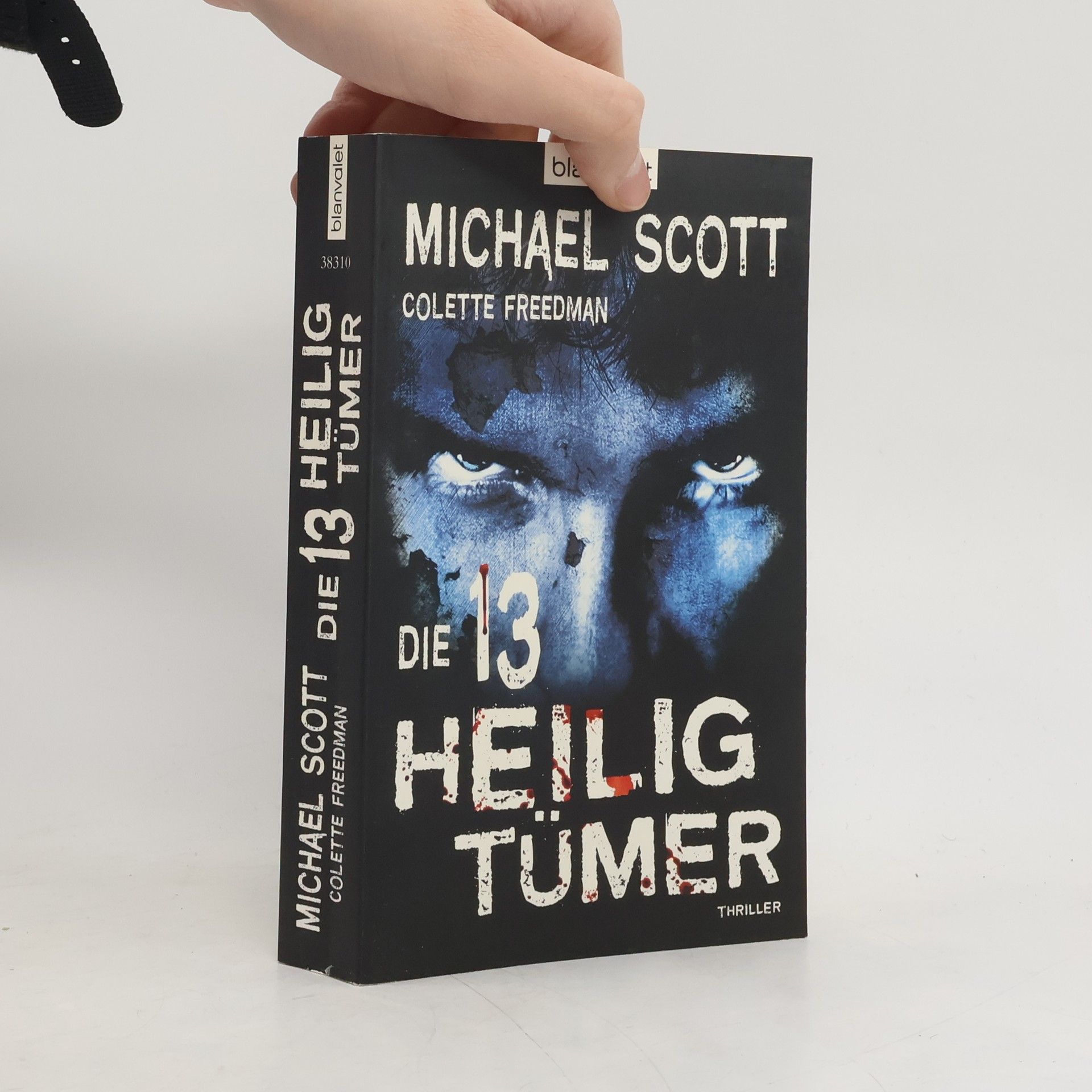 Michael Scott Die 13 Heiligtümer