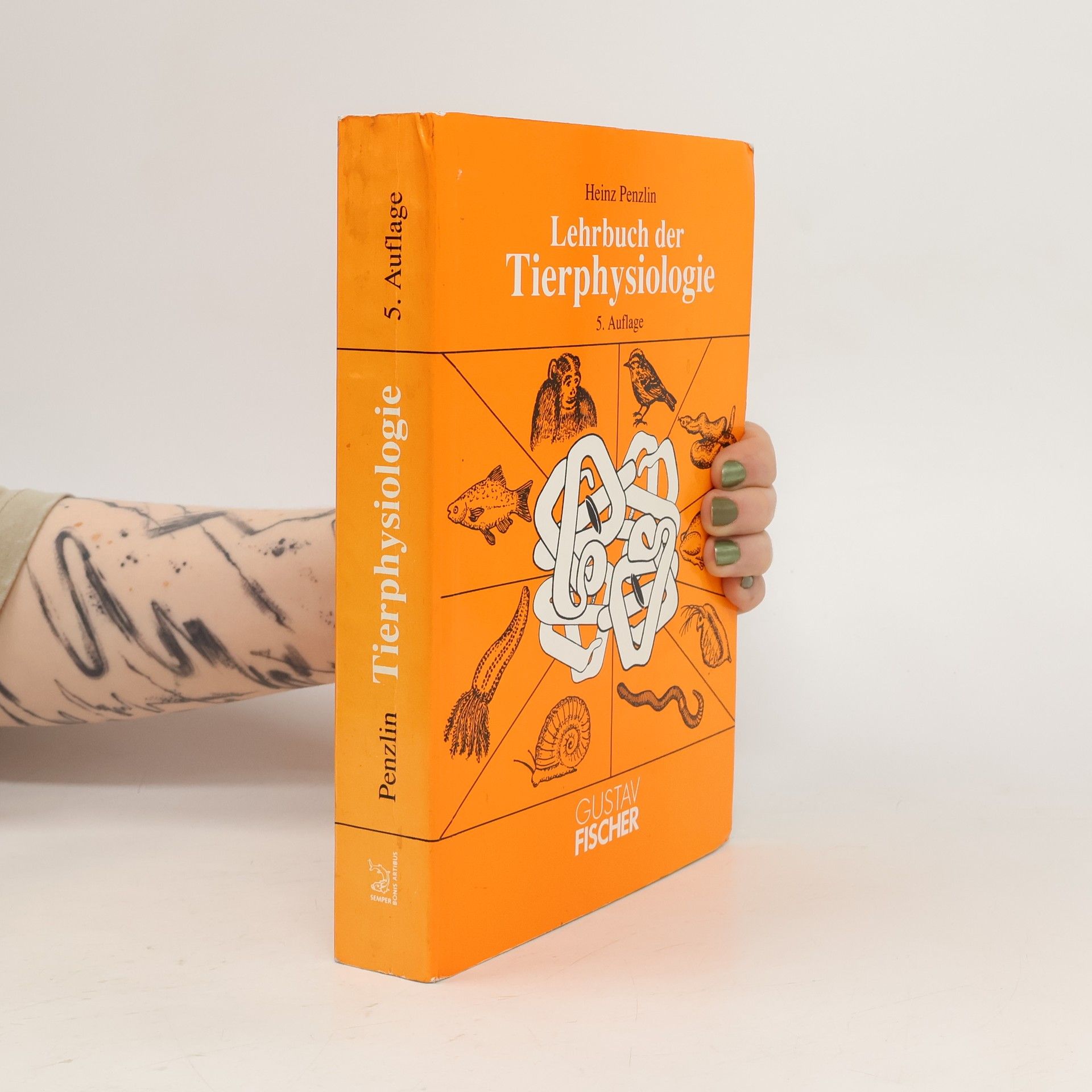 Heinz Penzlin Lehrbuch der Tierphysiologie
