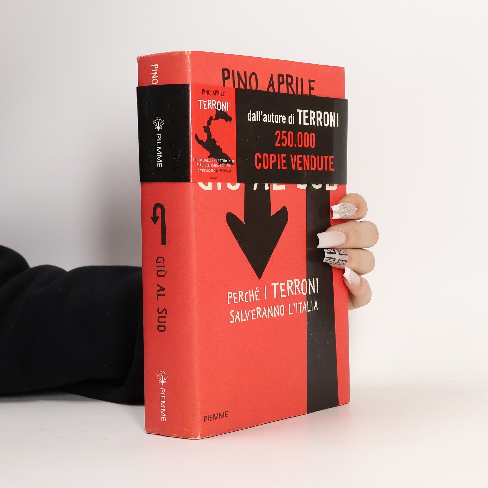 Giù al Sud. Perché i terroni salveranno l'Italia