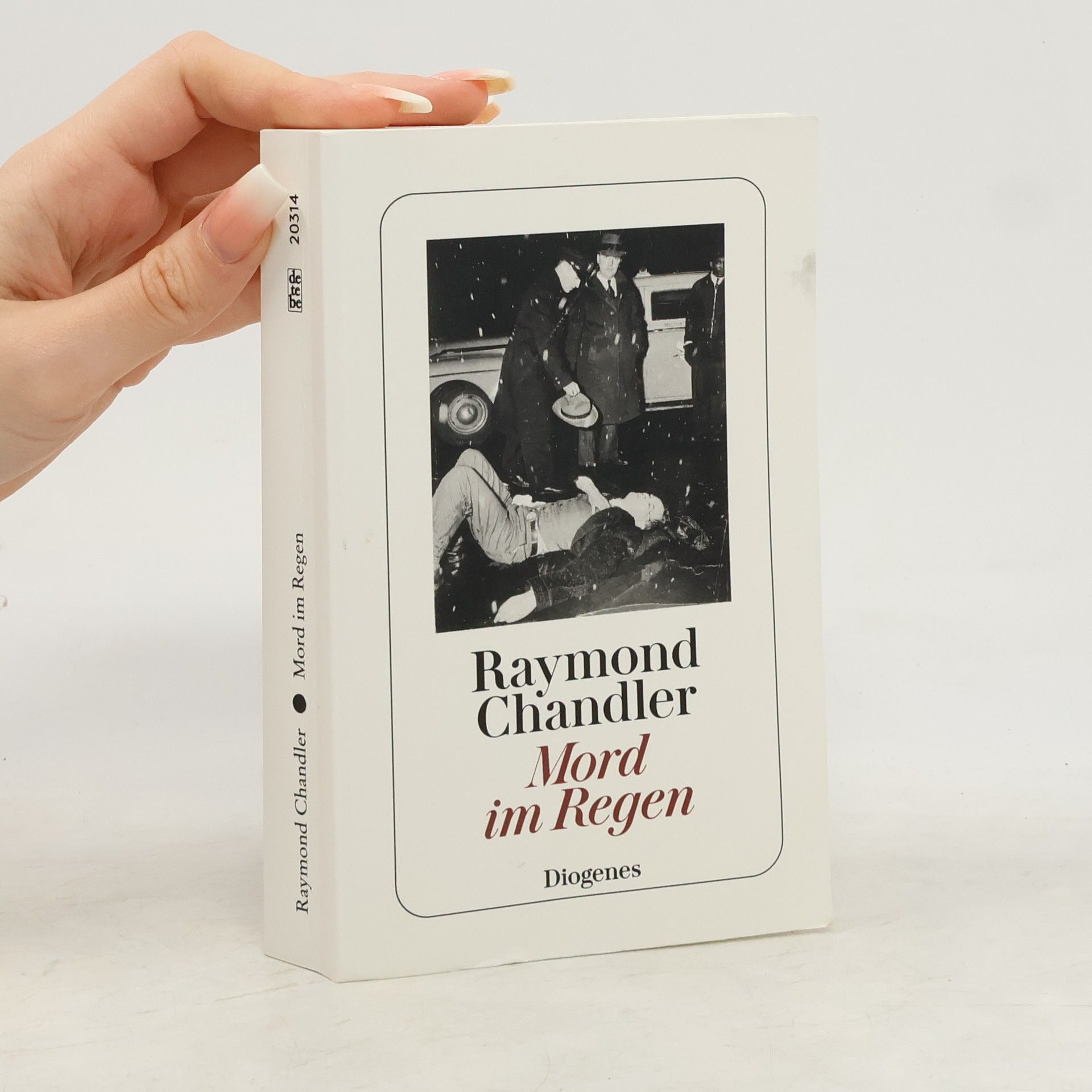 Raymond Chandler Mord im Regen