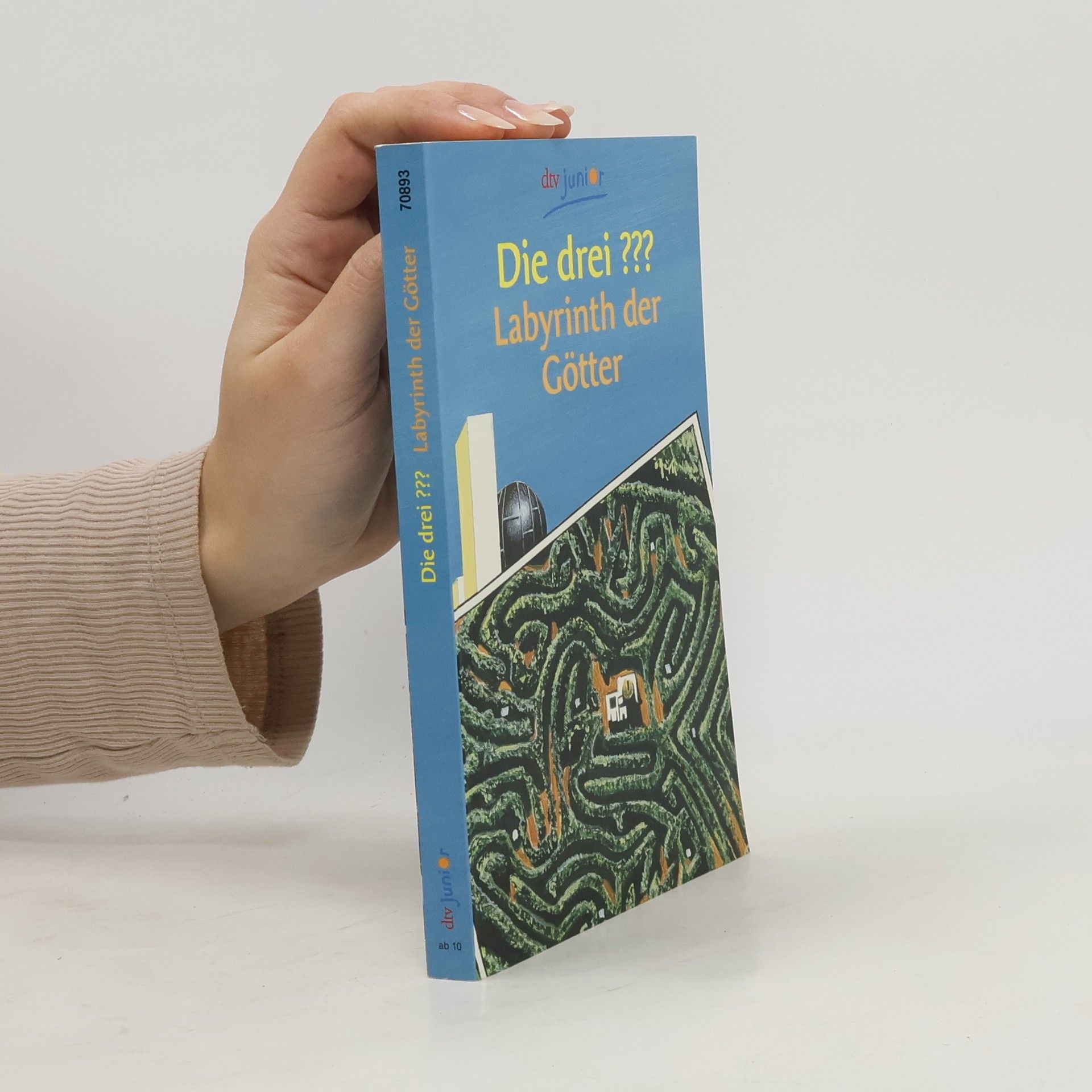 André Marx Die drei ??? - Labyrinth der Götter