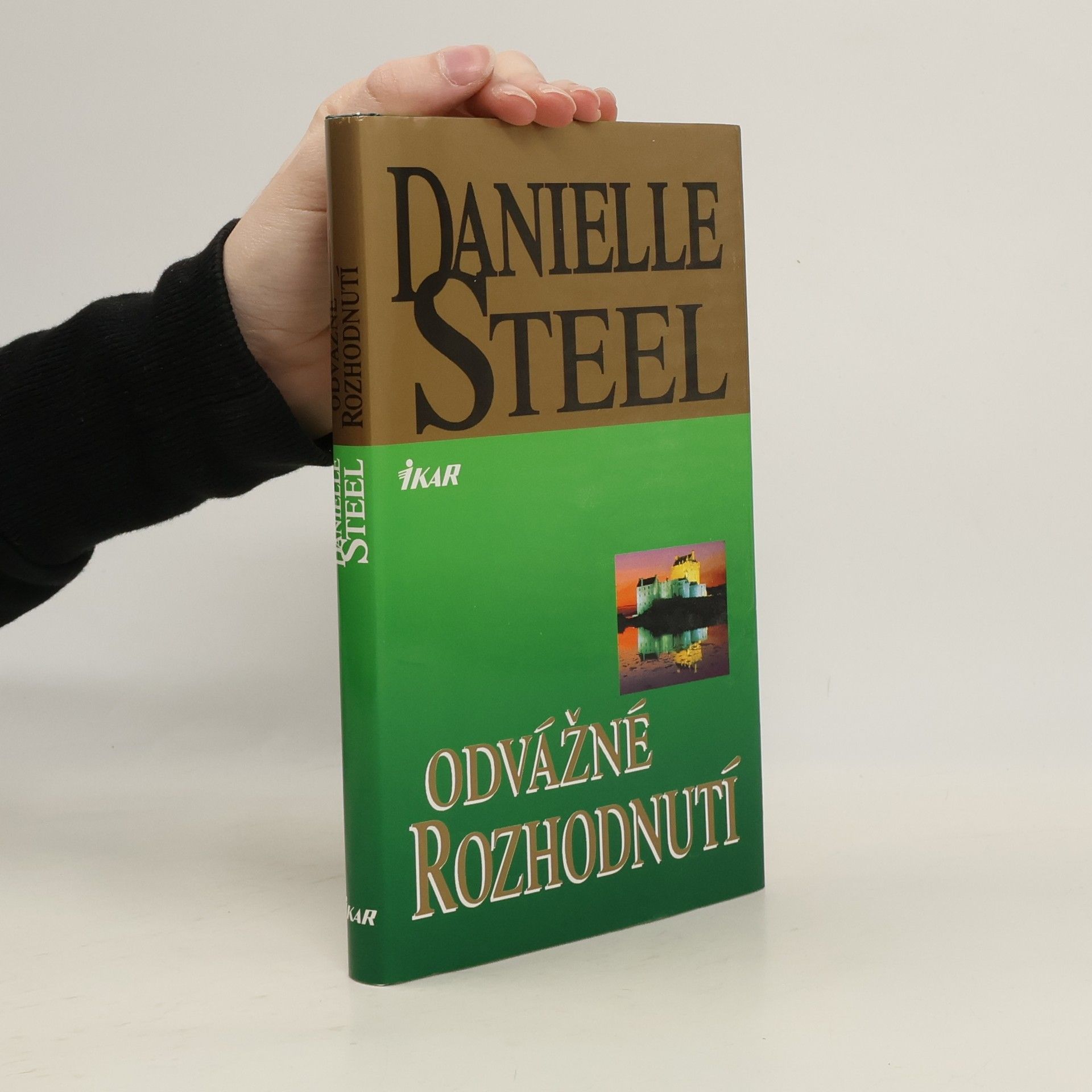 Danielle Steel Odvážné rozhodnutí