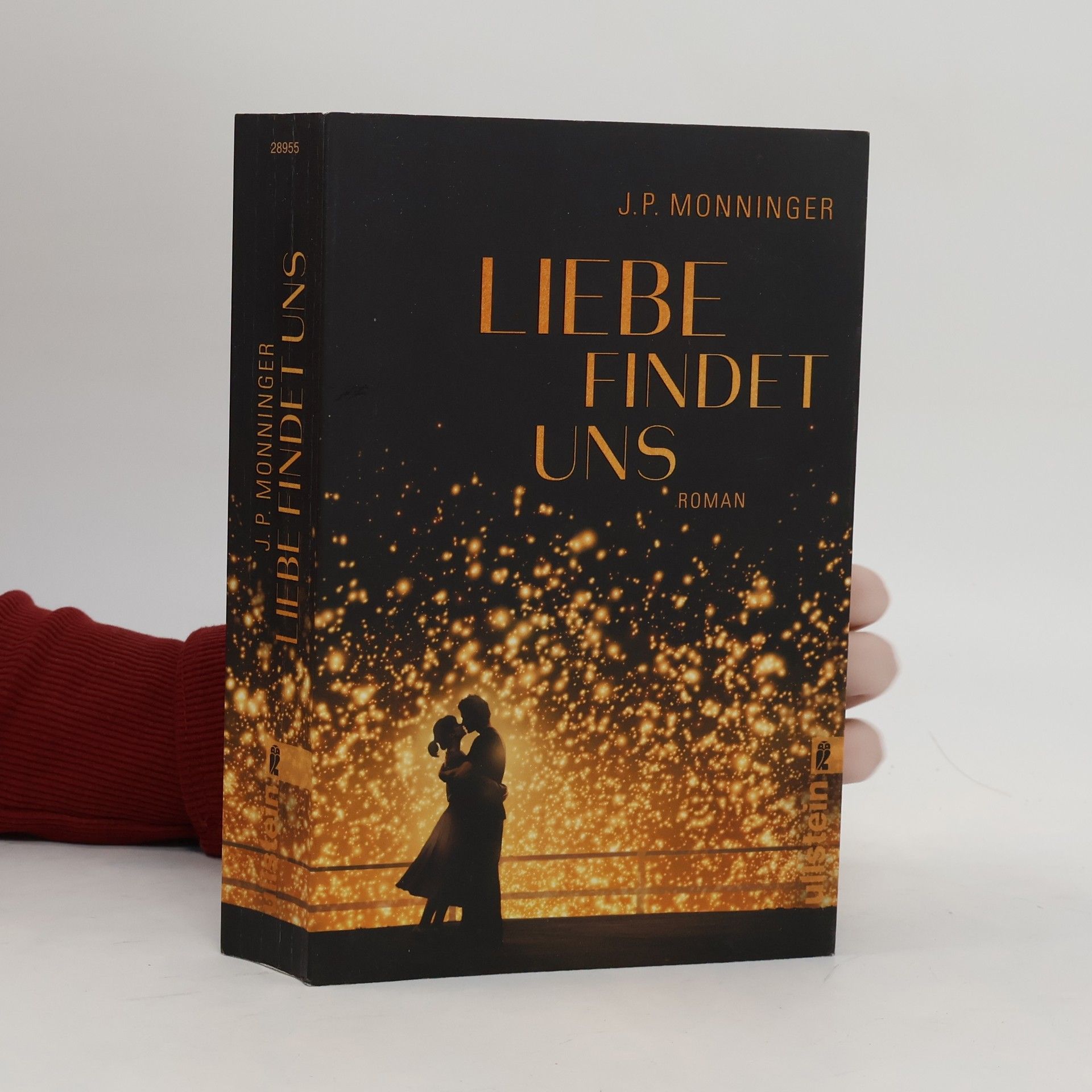 Joe Monninger Liebe findet uns