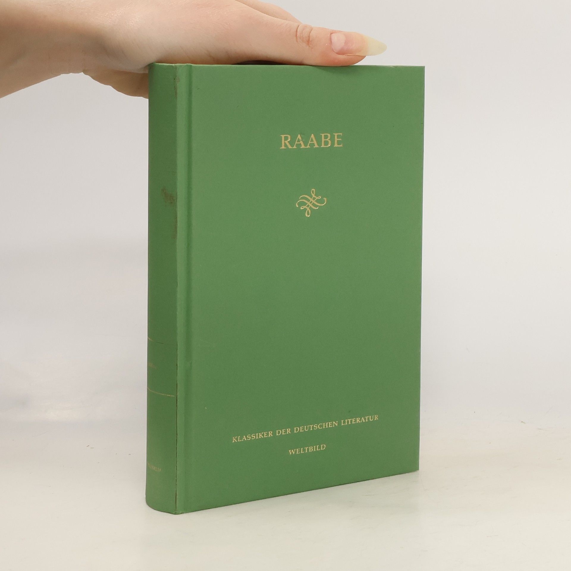 Auteurscollectief Klassiker der Deutschen Literatur. Raabe