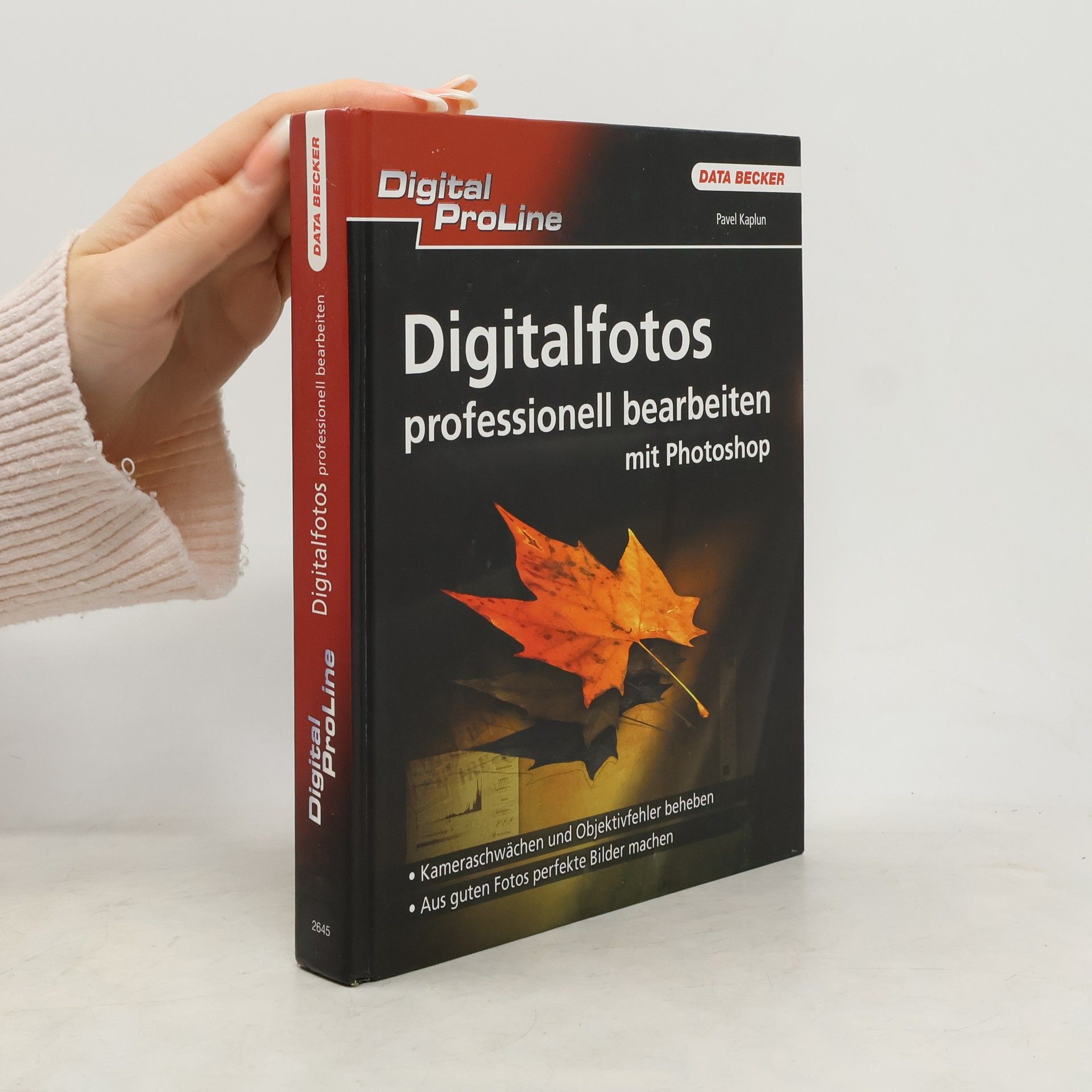 Pavel Kaplun Digital ProLine Digitalfotos professionell bearbeiten mit Photoshop