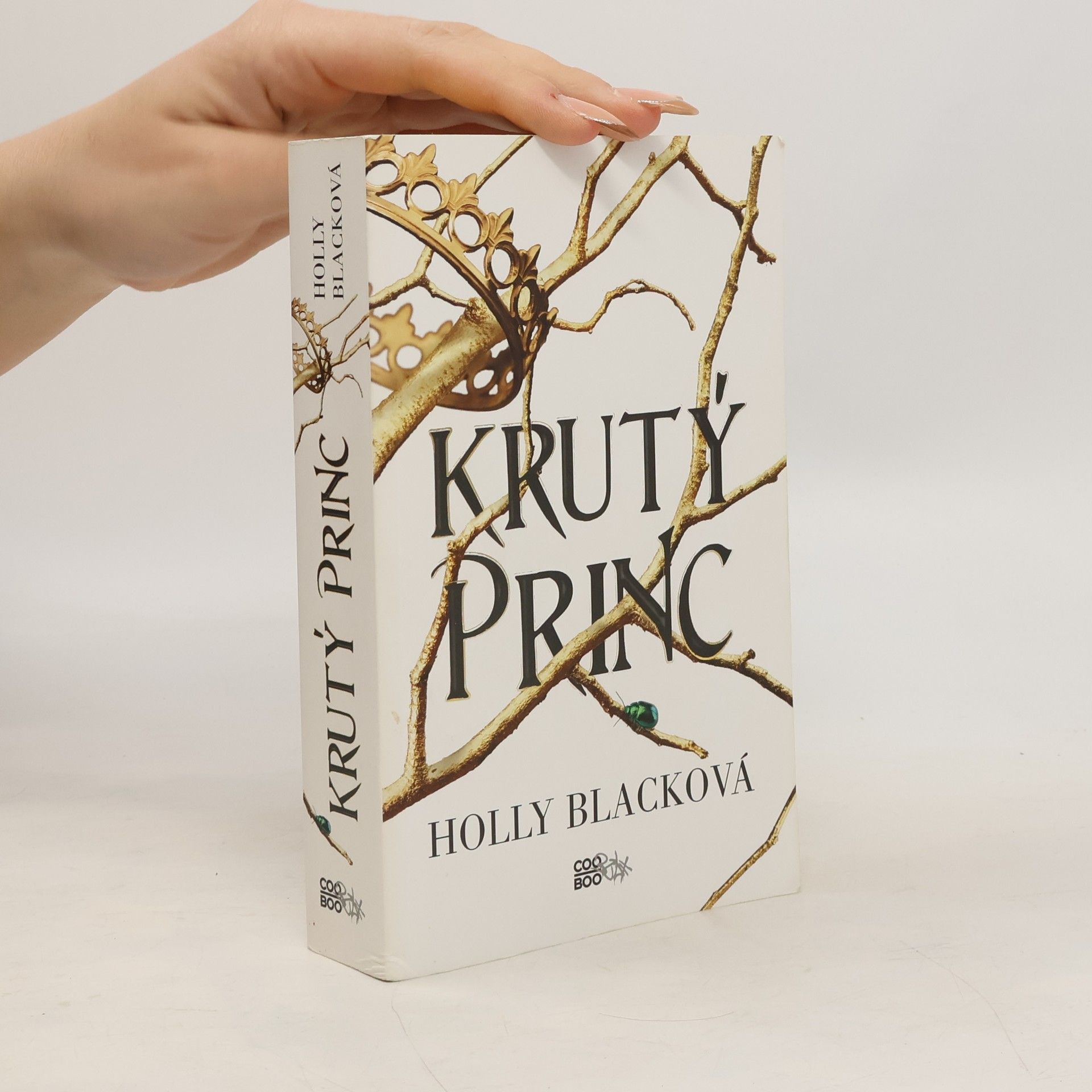 Holly Black Krutý princ