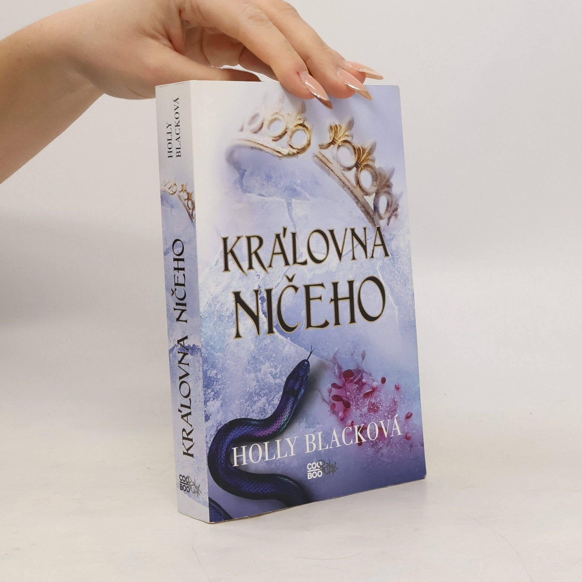 Holly Black Královna ničeho