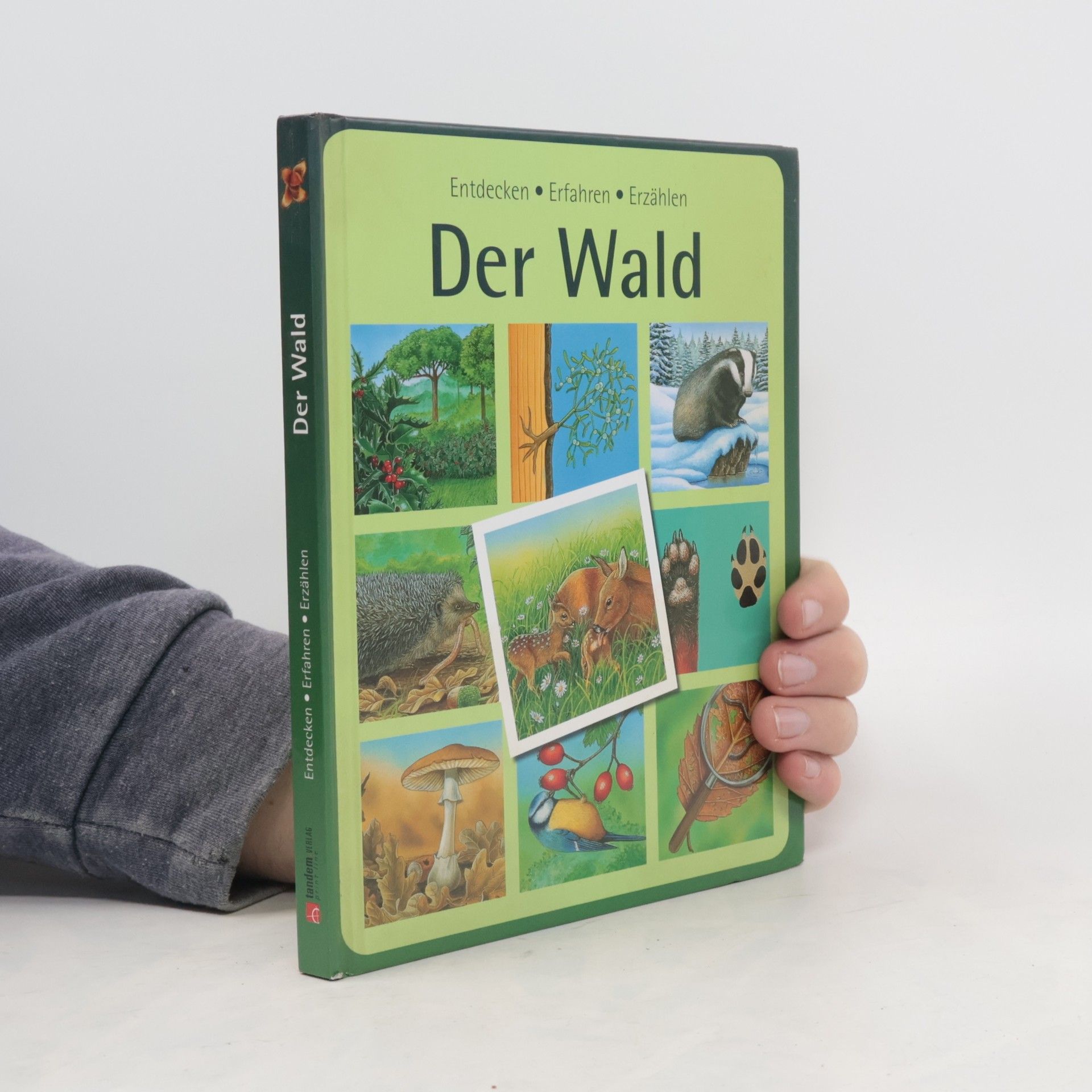 Marie-Renée Pimont Der Wald