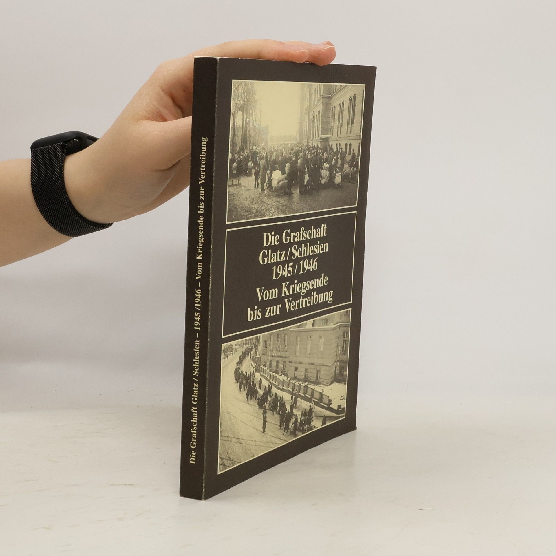 AA.VV. Die Grafschaft Glatz/Schlesien. 1945-1946 Vom Kriegsende bis zur Vertreibung