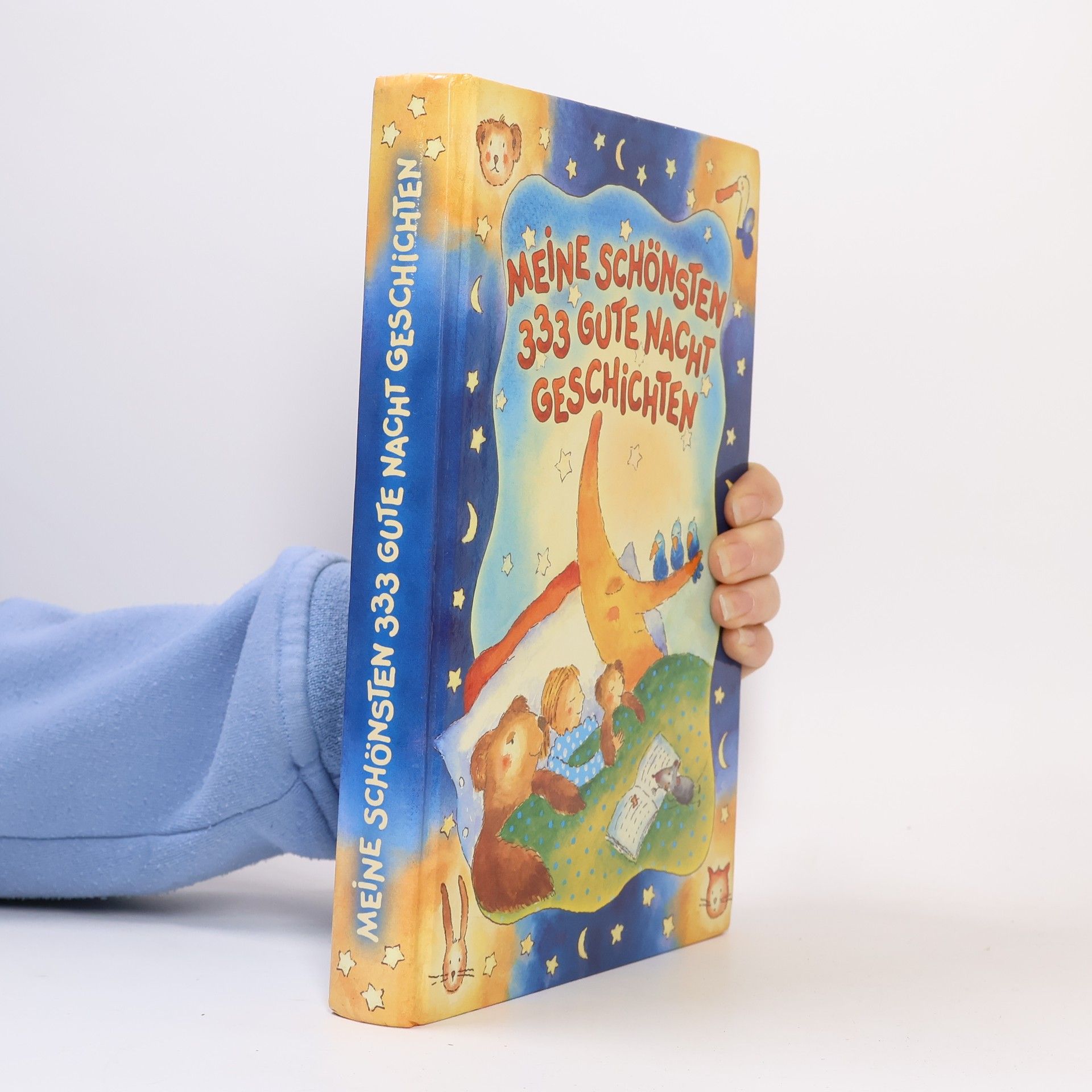 Paola Bertolini Grudina Meine schönsten 333 Gute-Nacht-Geschichten