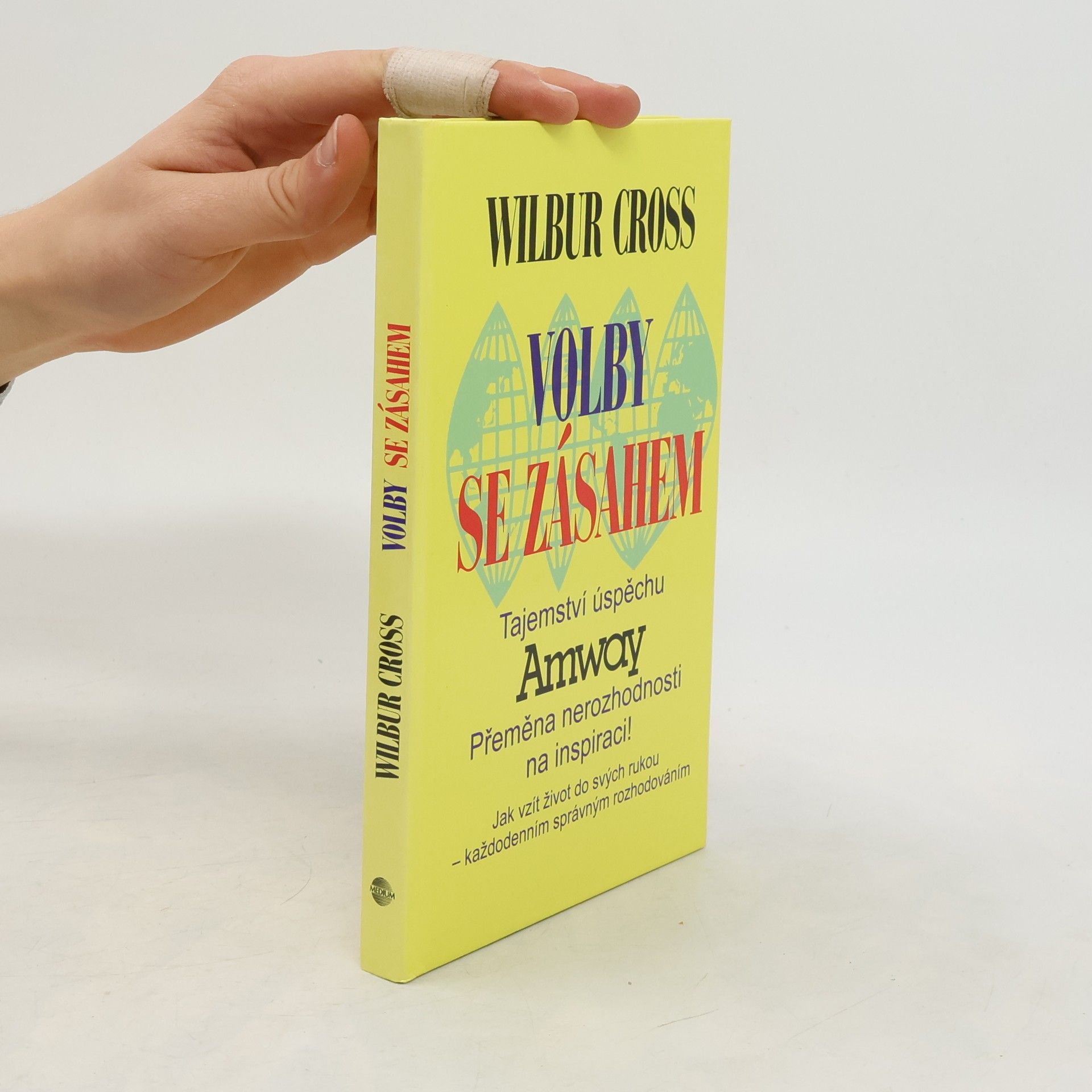 Volby se zásahem : tajemství úspěchu Amway