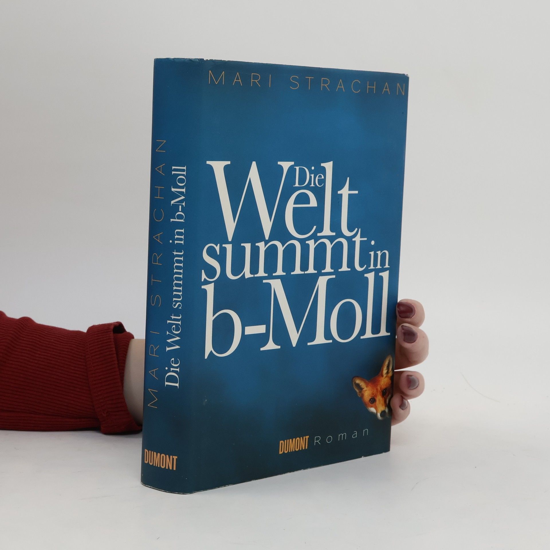 Mari Strachan Die Welt summt in b-Moll