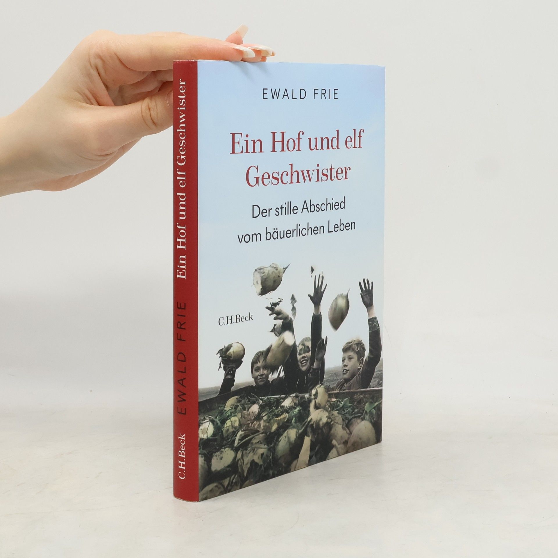 Ewald Frie Ein Hof und elf Geschwister