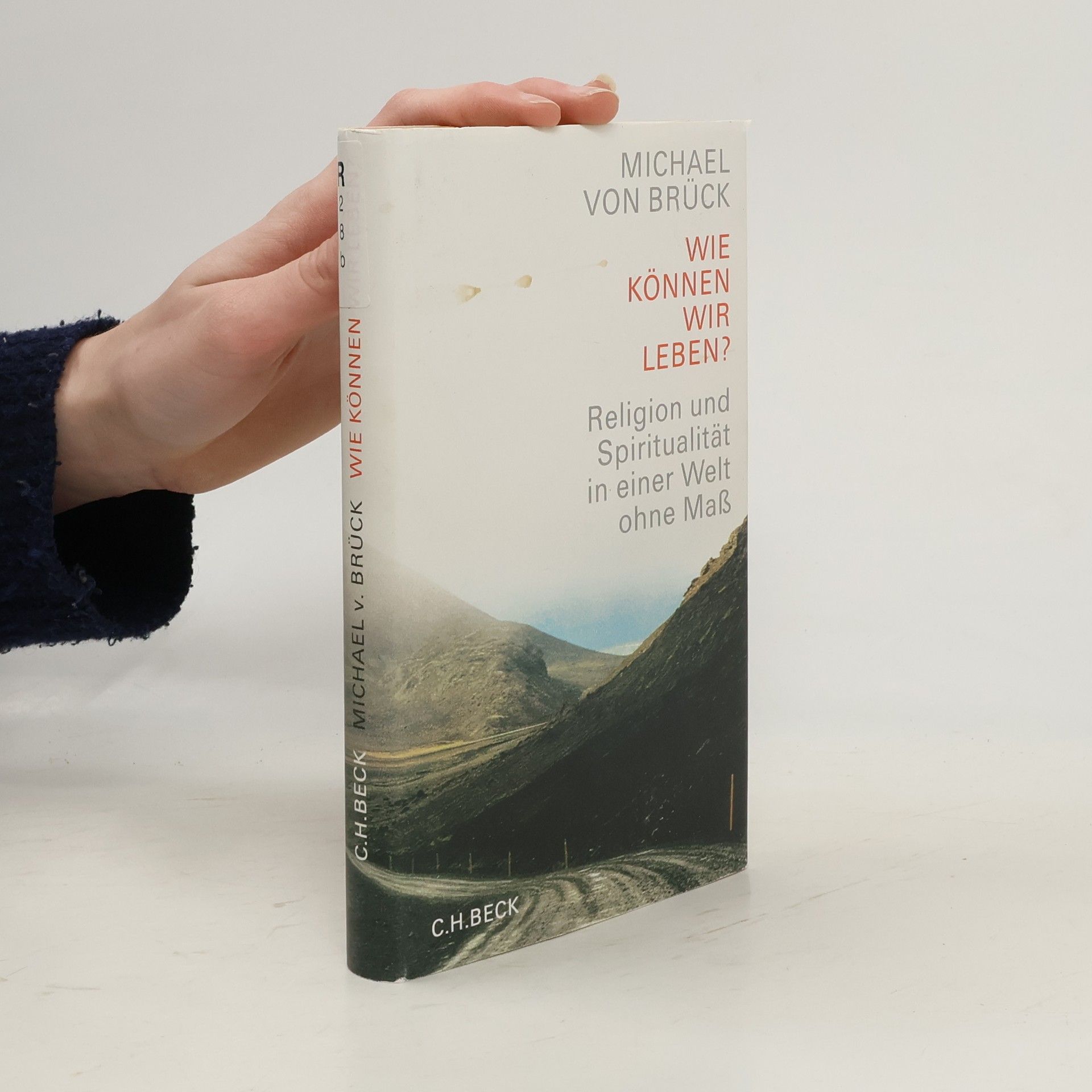 Michael von Brück Wie können wir leben?