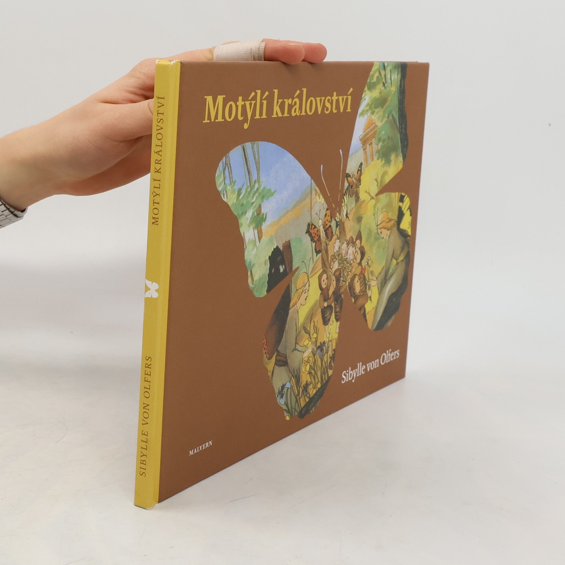 Motýlí království