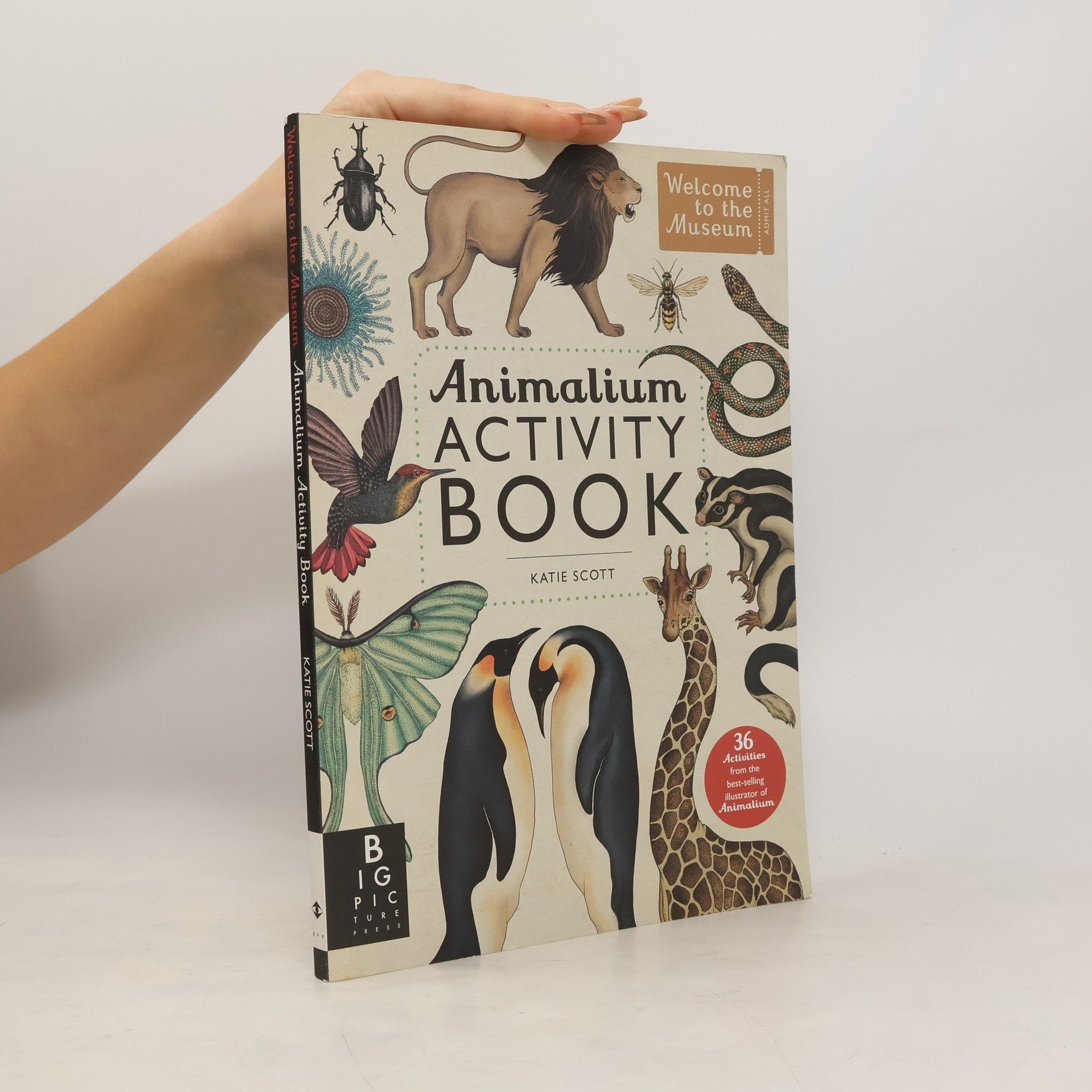 Animalium: activity book