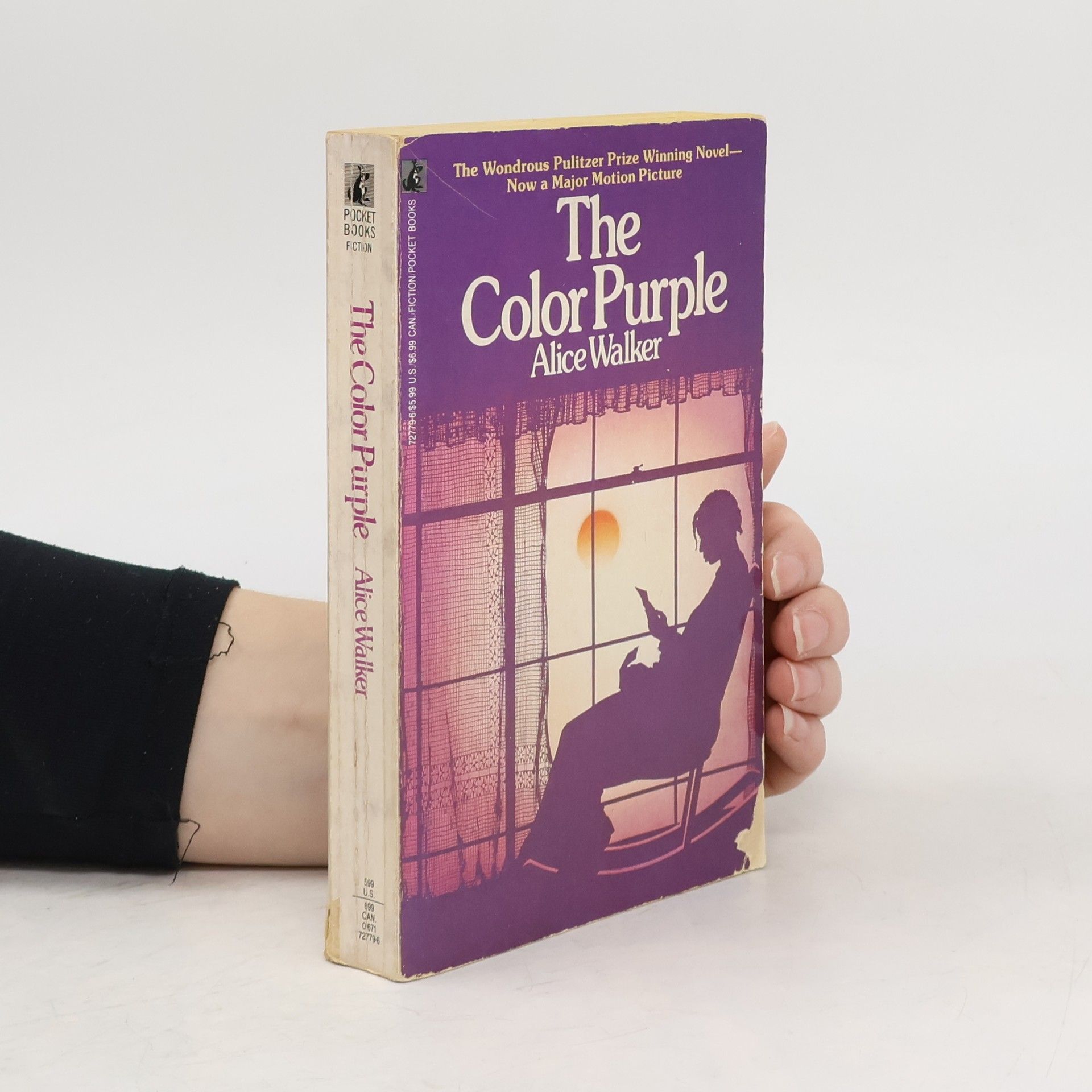 Alice Walker The Color Purple