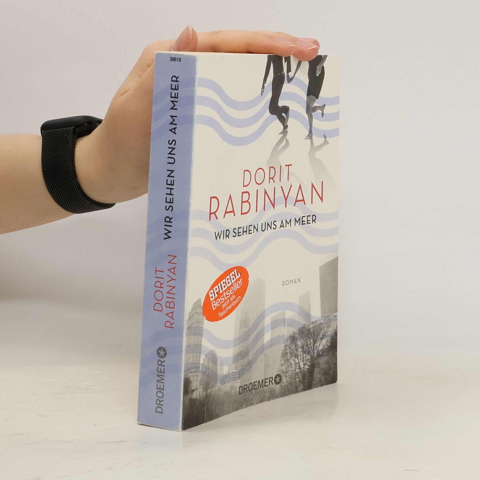 Dorit Rabinyan Wir sehen uns am meer