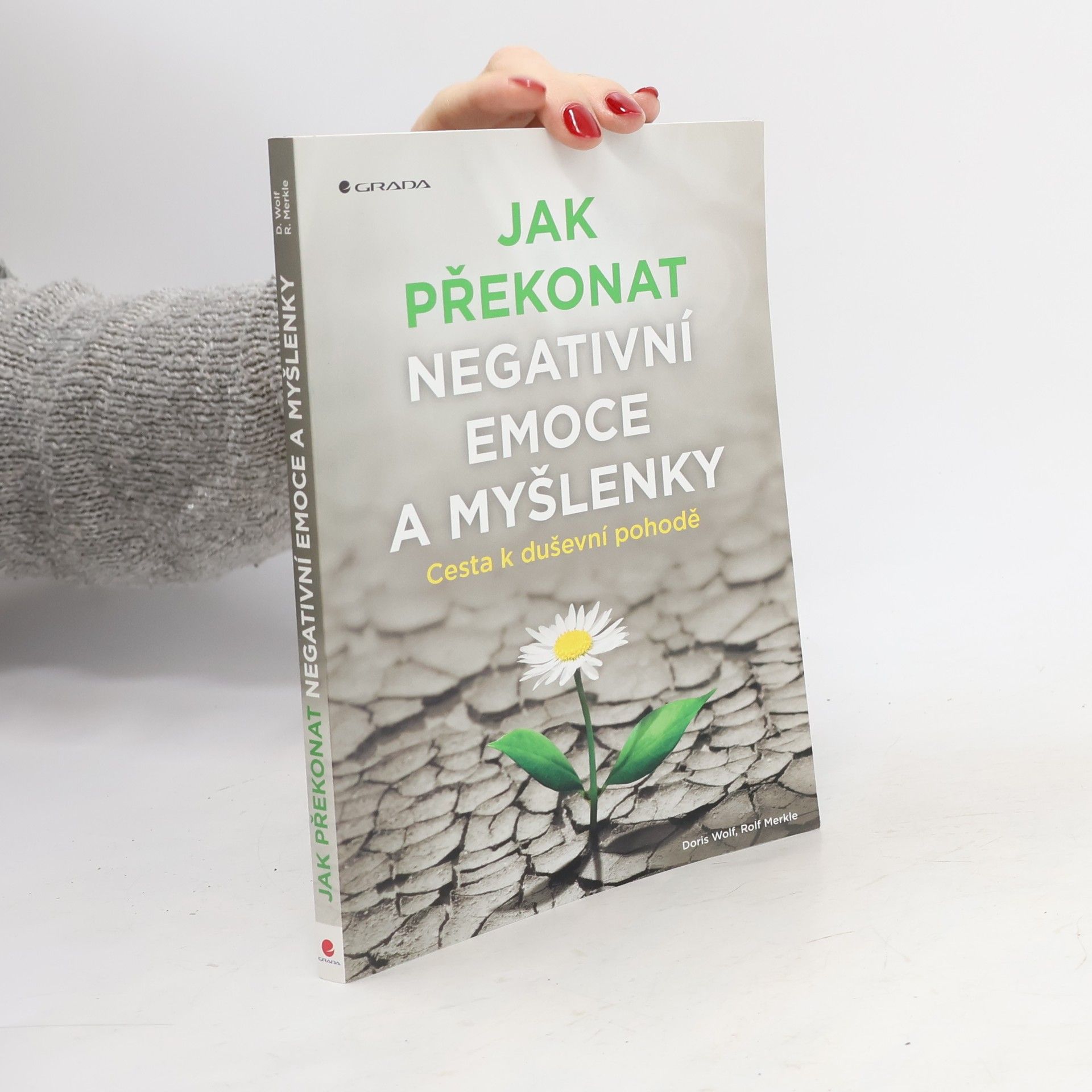 Jak překonat negativní emoce a myšlenky : cesta k duševní pohodě