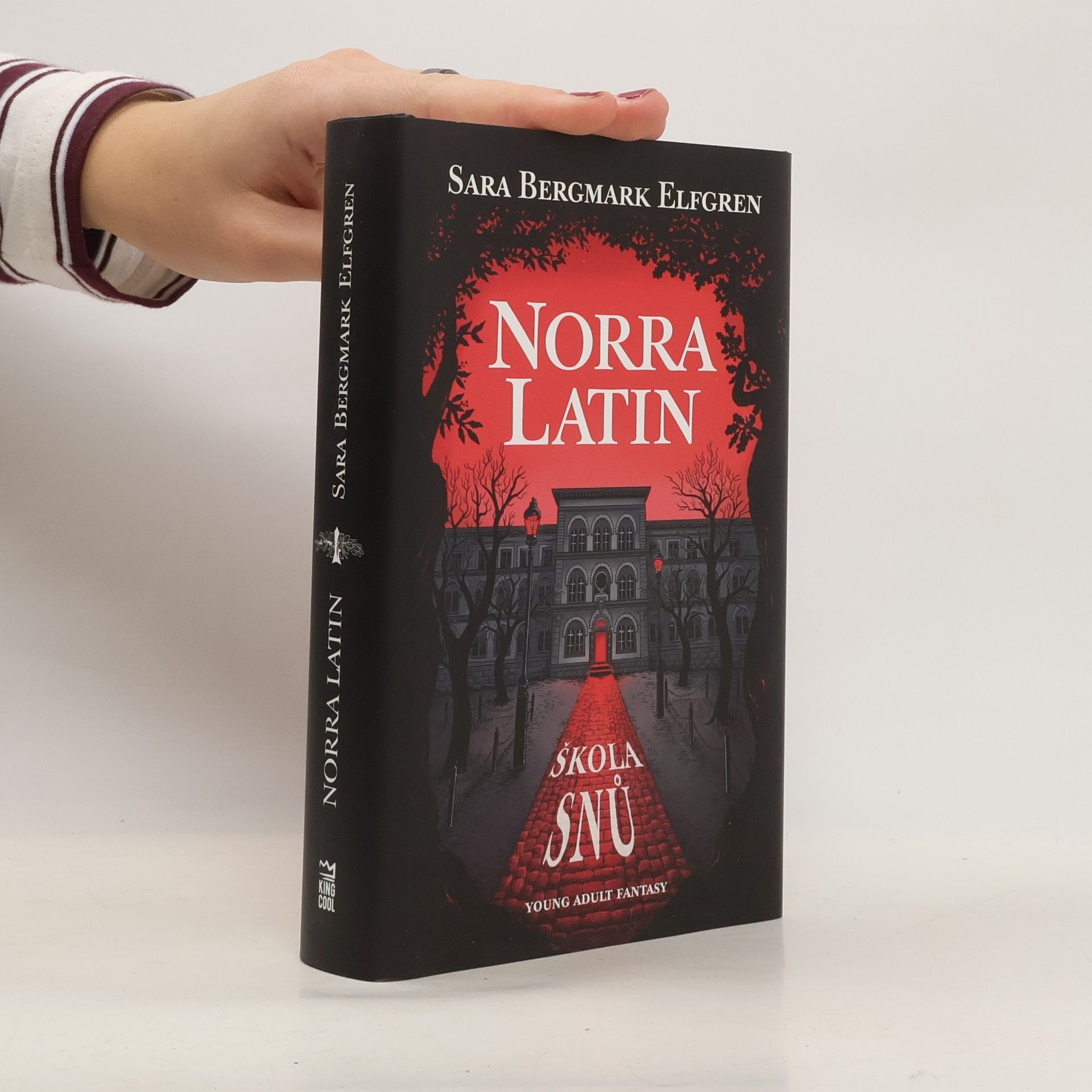 Sara Bergmark Elfmark Norra Latin. Škola snů