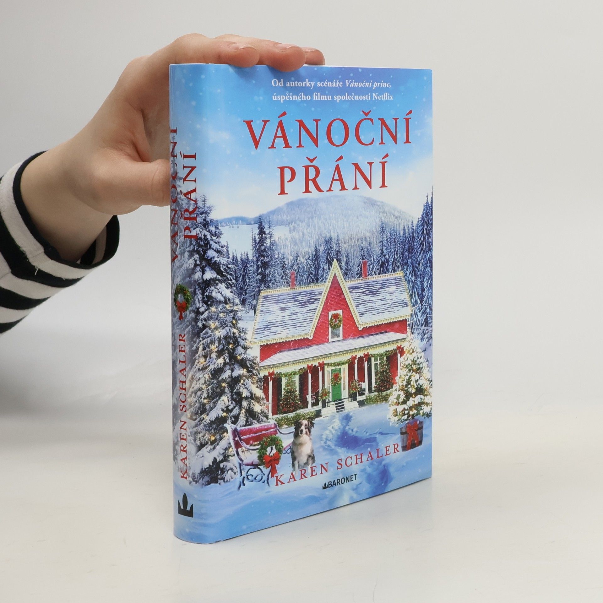 Karen Schaler Vánoční přání