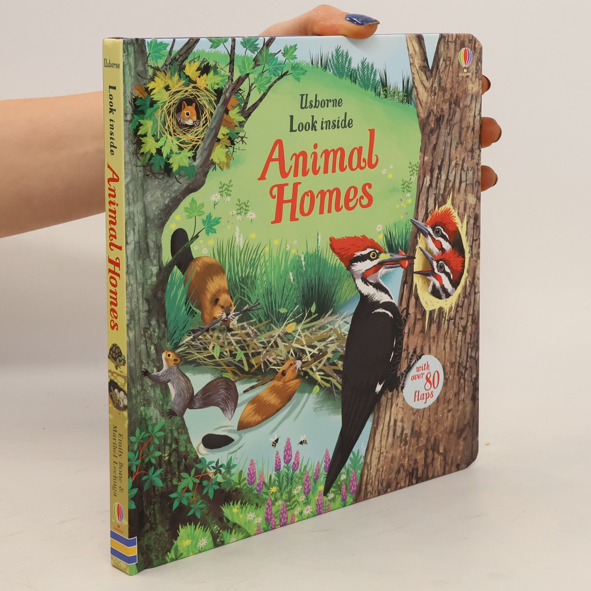 Look inside animal homes