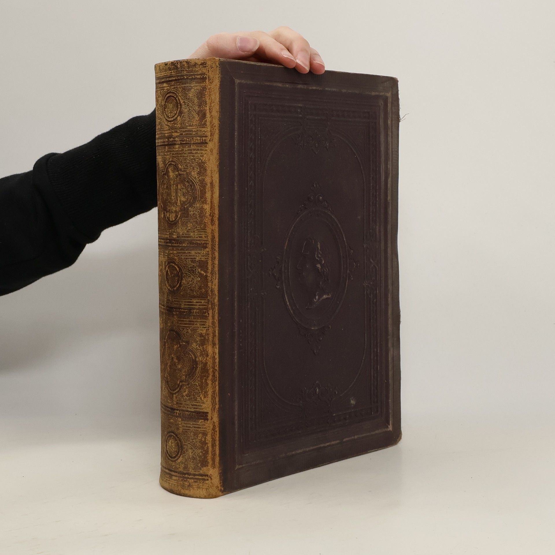 Schillers Werke Sämmtliche Werke 1.Band