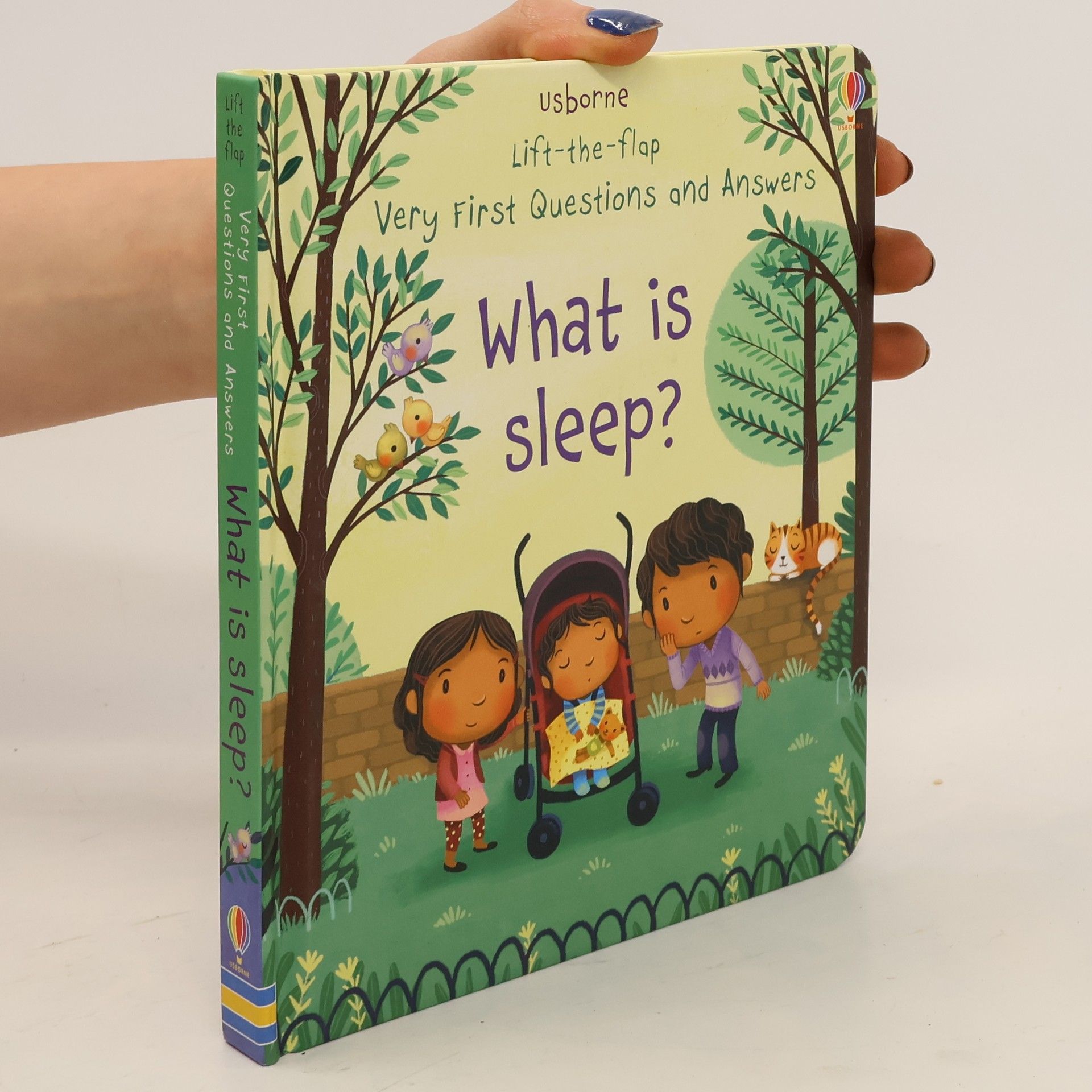 Daynes Katie. What Is Sleep?