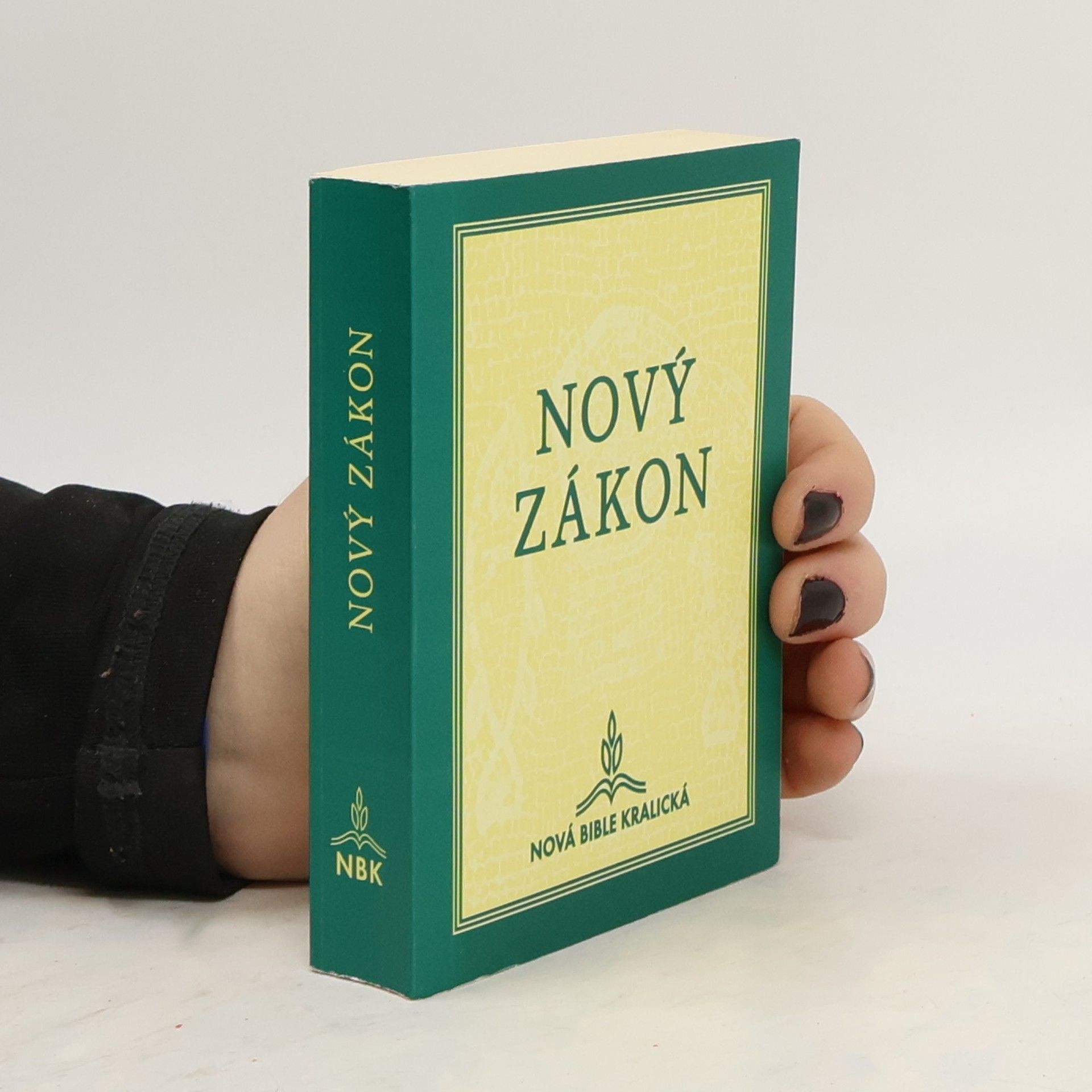 Pavel Hoffman Nový Zákon Našeho Pána a Spasitele Ježíše Krista: Nová Bible kralická